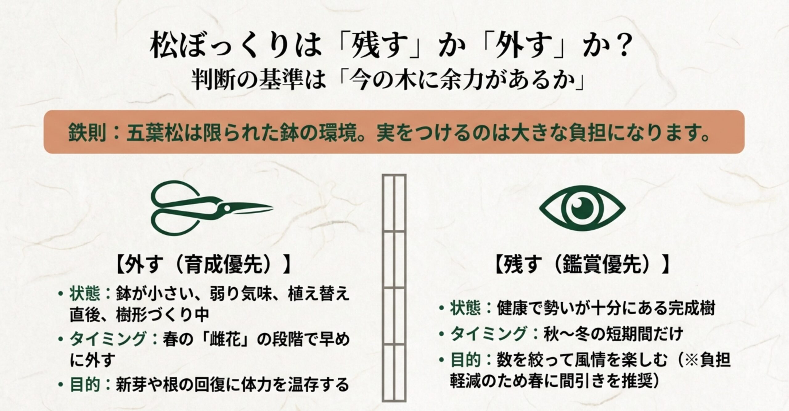 松ぼっくりは残すか外すかの判断基準。育成優先で外す場合と鑑賞優先で残す場合の状態、タイミング、目的の比較。