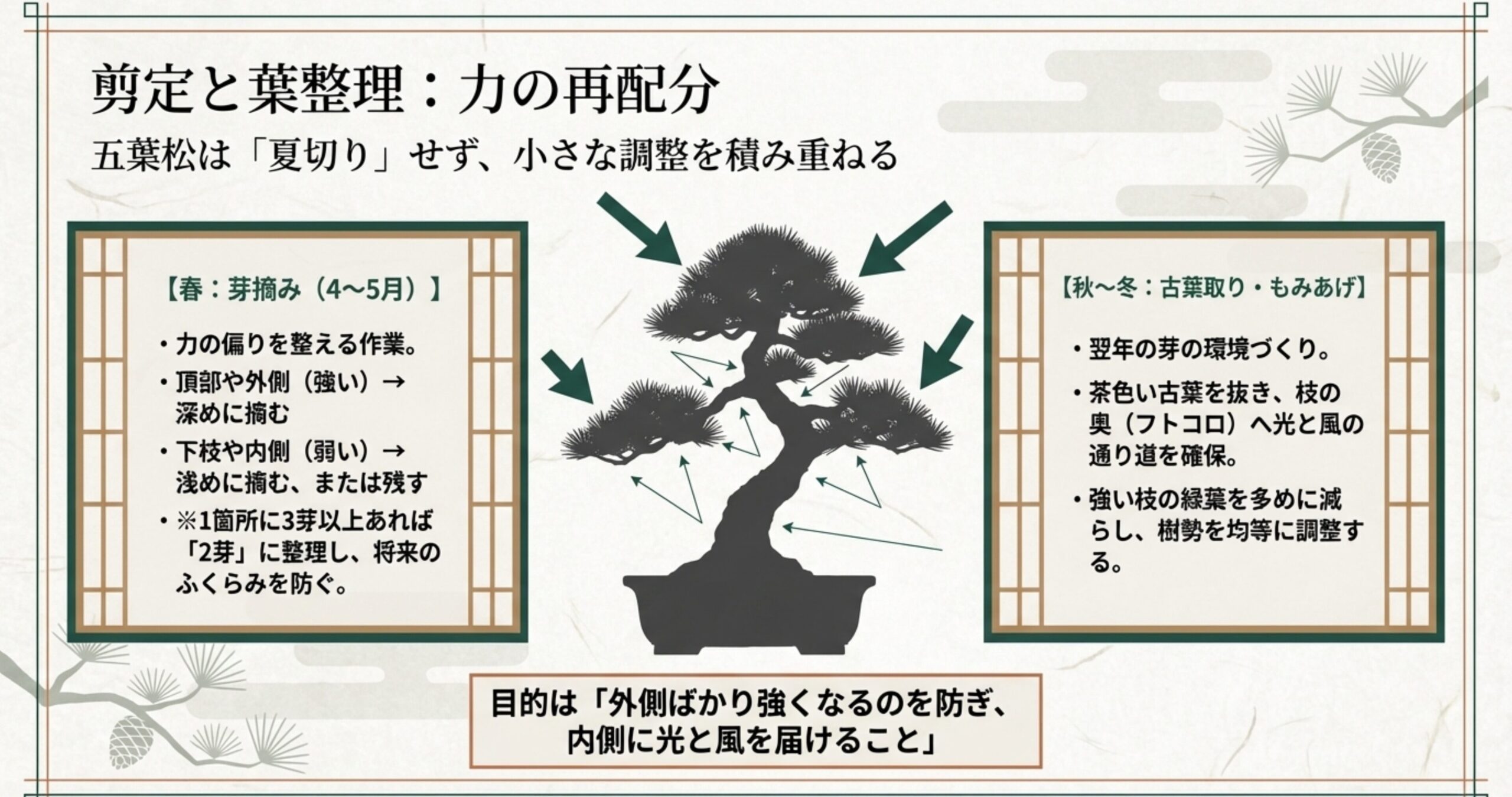 剪定と葉整理のポイント。春の芽摘みによる力の調整と、秋冬の古葉取り・もみあげによる光と風の通り道確保。