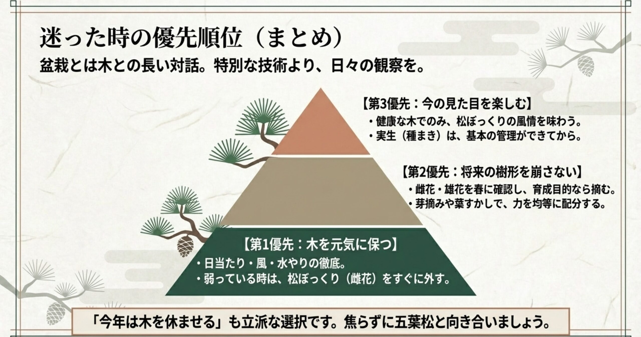 松ぼっくり管理で迷った時の優先順位ピラミッド。第1優先：木を元気に保つ、第2優先：将来の樹形を崩さない、第3優先：今の見た目を楽しむ。
