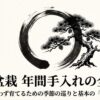 黒松盆栽の年間手入れの全体像と季節の巡りを示すタイトル画像
