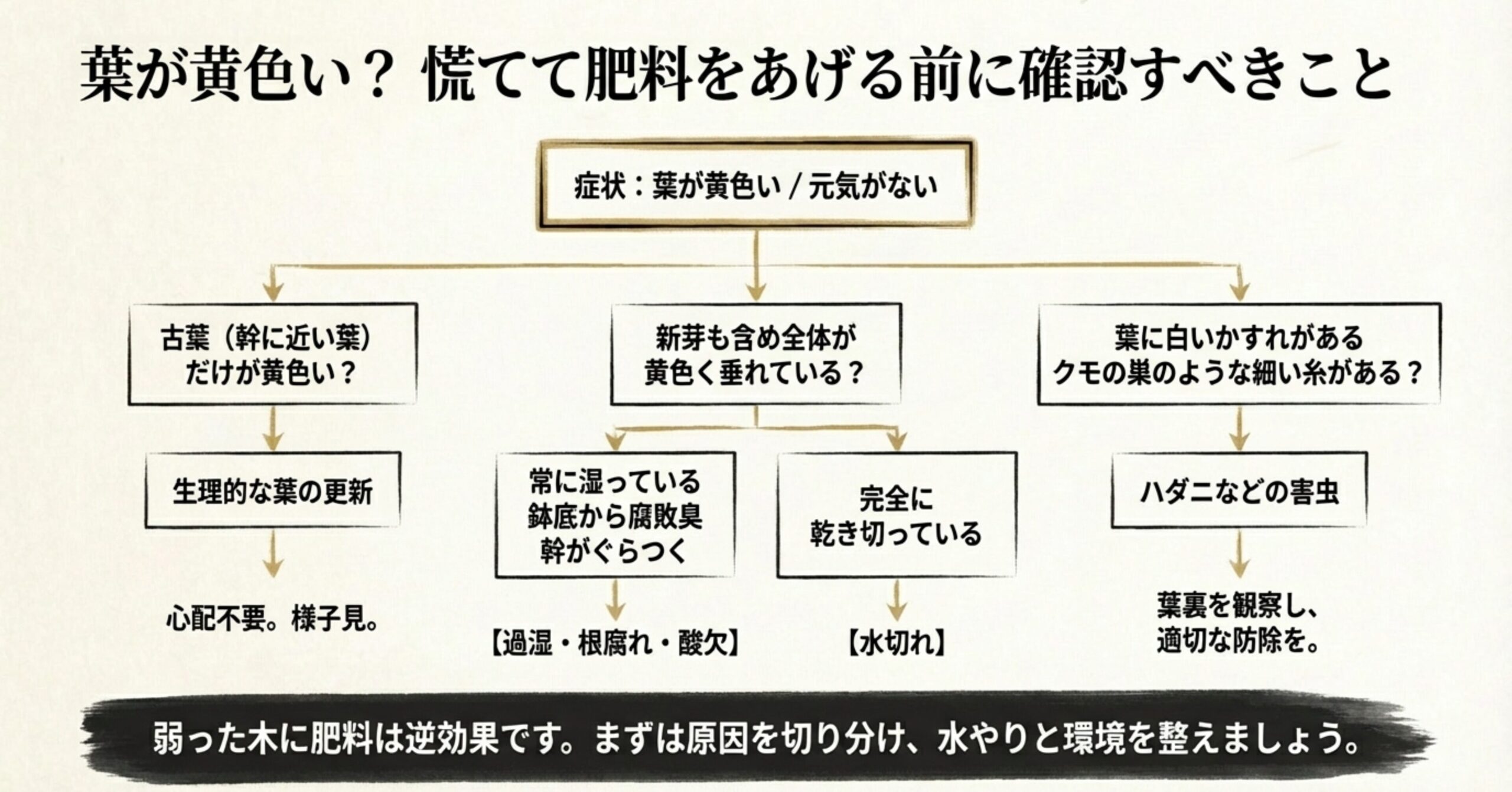 葉が黄色い・元気がない時の原因(古葉の更新、過湿・水切れ、害虫)を切り分けるための診断フローチャート