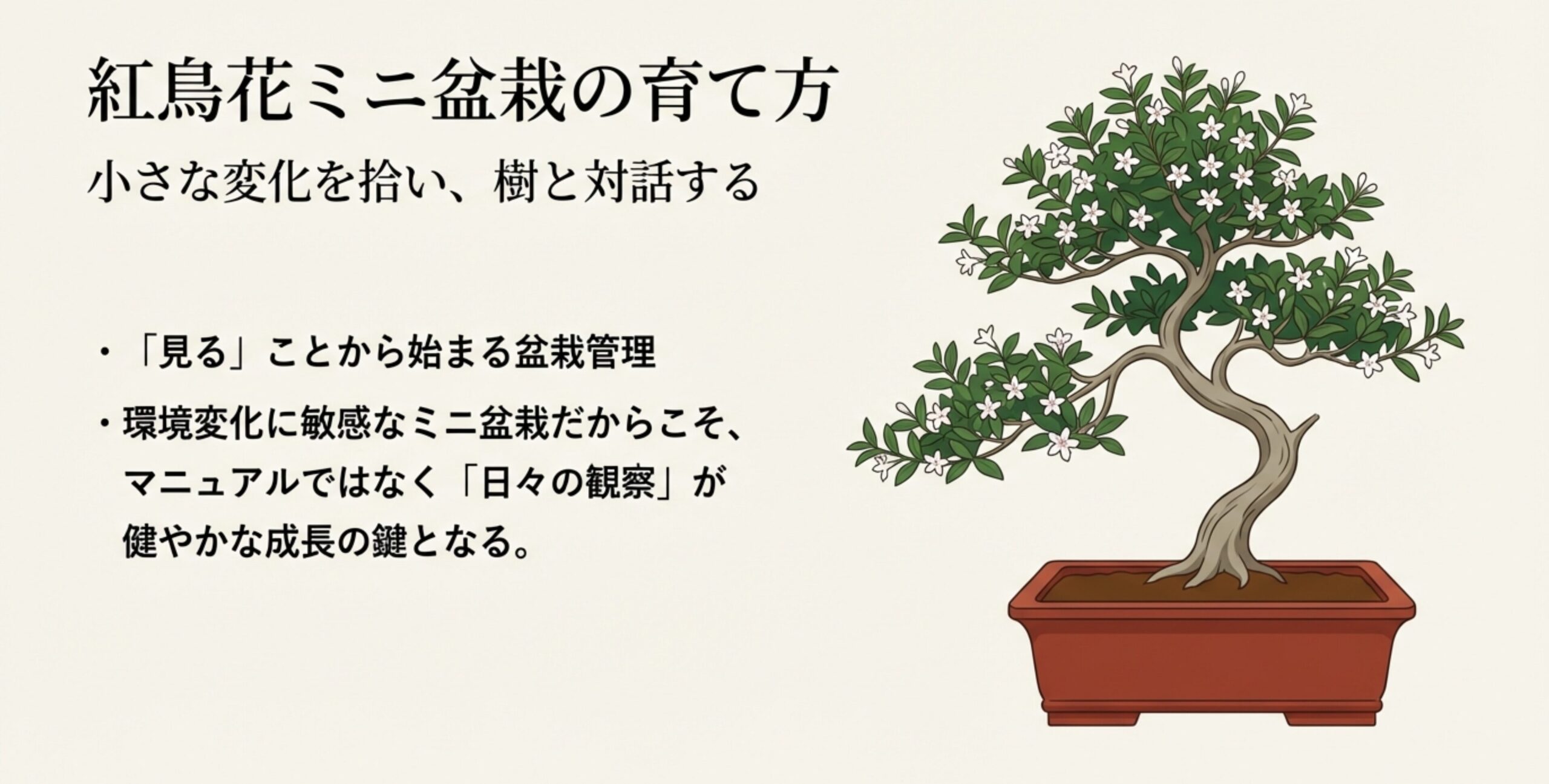 白い花を咲かせた紅鳥花のミニ盆栽のイラスト 。マニュアルではなく日々の観察が成長の鍵となるというメッセージが添えられている 。