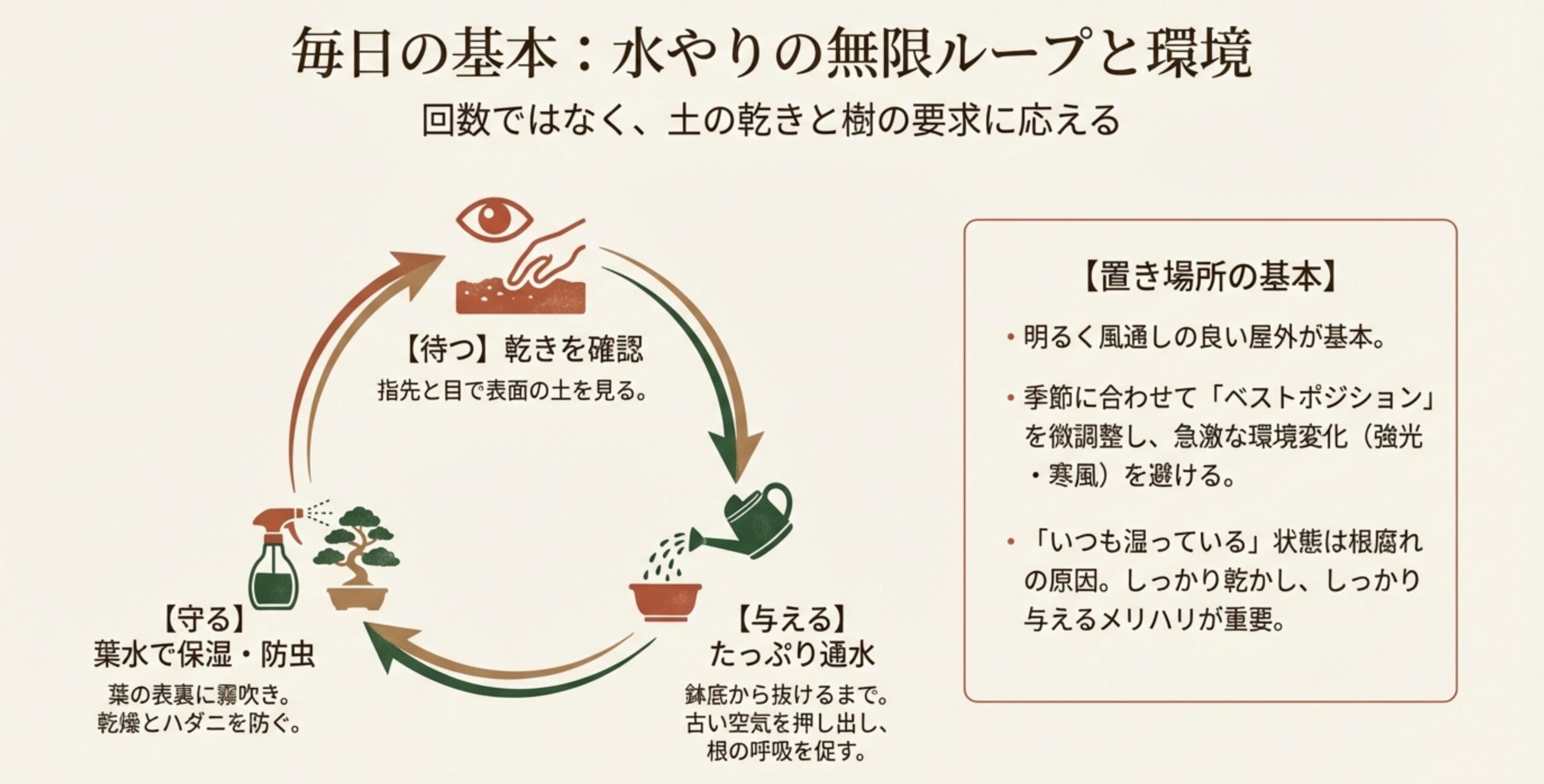 水やりの基本となる「待つ(乾きを確認)」「与える(たっぷり通水)」のサイクルと、葉水による保湿、置き場所の基本についてまとめたスライド 。