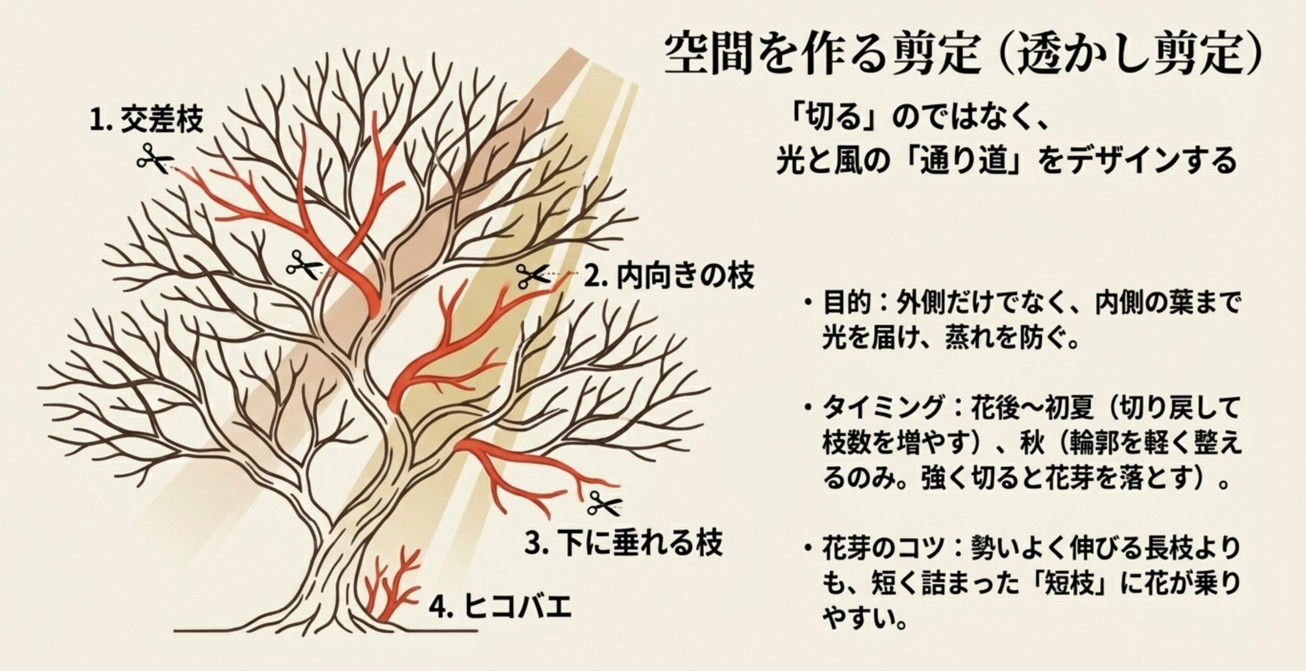 盆栽の枝のイラスト。切るべき対象として、交差枝、内向きの枝、下に垂れる枝、ヒコバエの4つが赤色で示されている 。