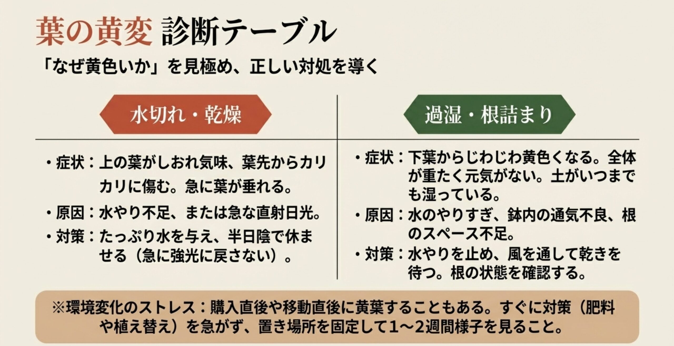 葉の黄変診断テーブル 。水切れ・乾燥と、過湿・根詰まりによる症状、原因、対策がそれぞれまとめられている 。