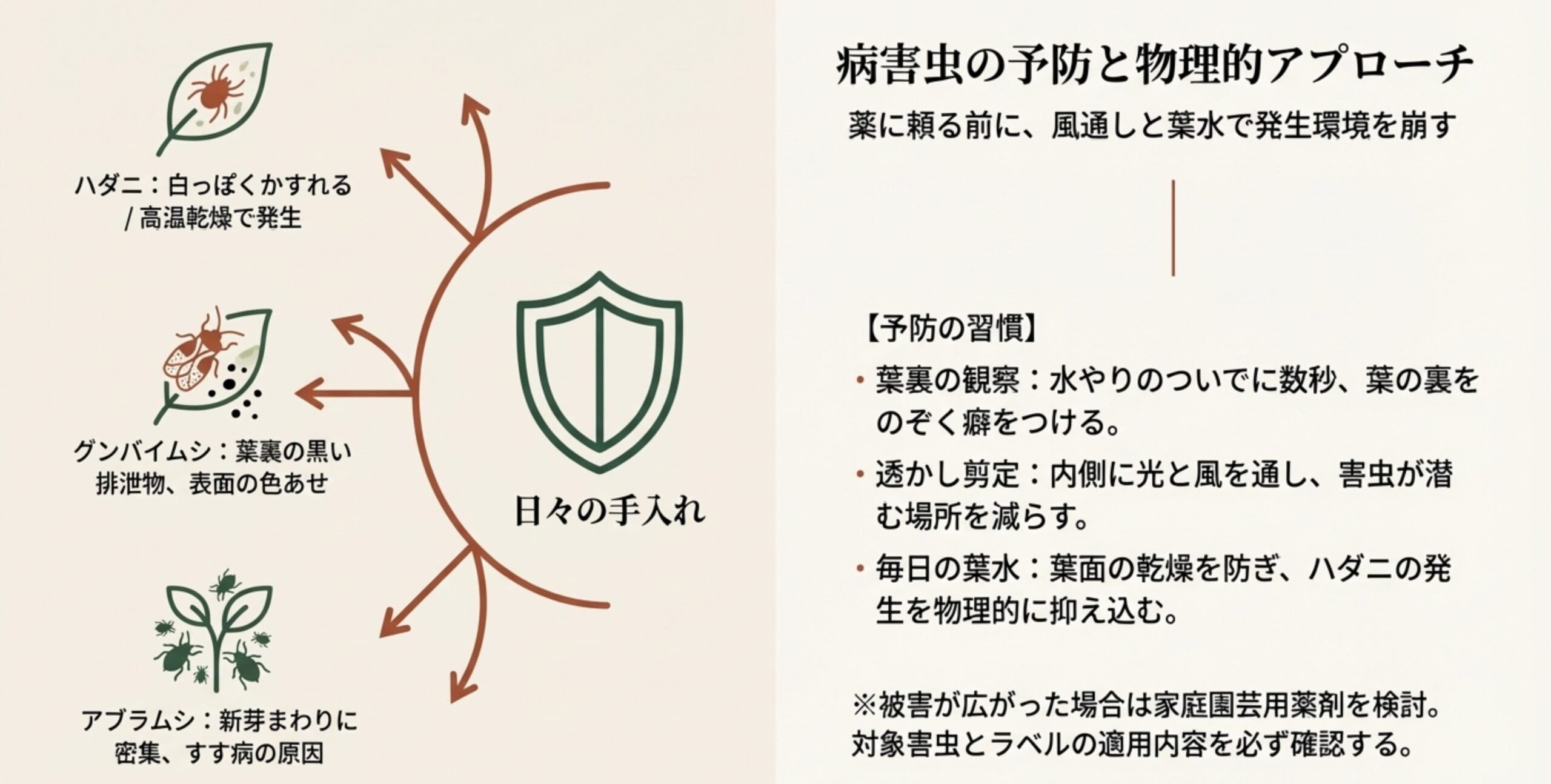 病害虫の予防と物理的アプローチの図解 。ハダニ、グンバイムシ、アブラムシの特徴と、日々の手入れによる予防習慣が記載されている 。