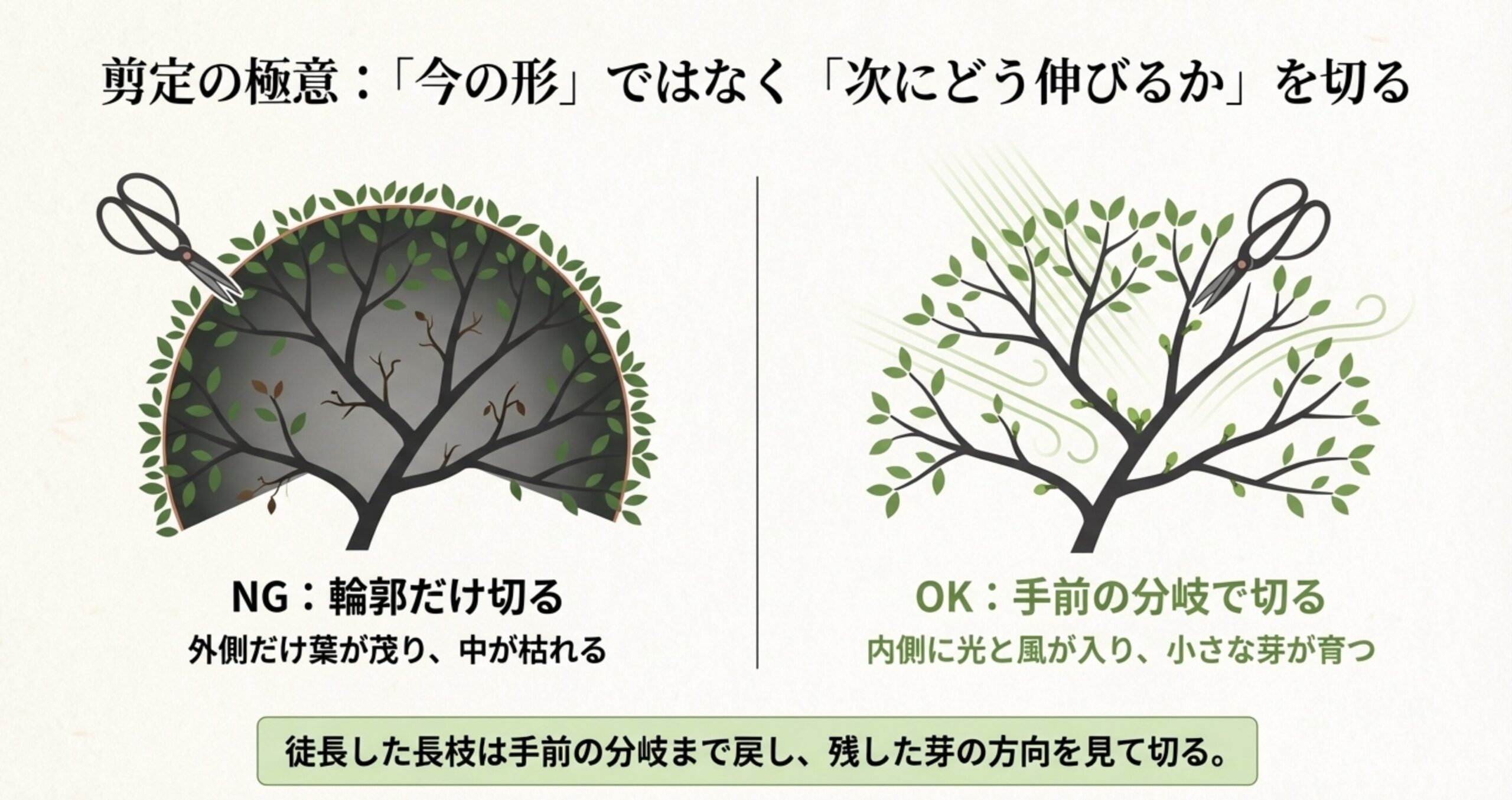 輪郭だけを丸く切るNGな剪定方法と、手前の分岐で切って内側に光と風を入れるOKな剪定方法を比較したイラスト