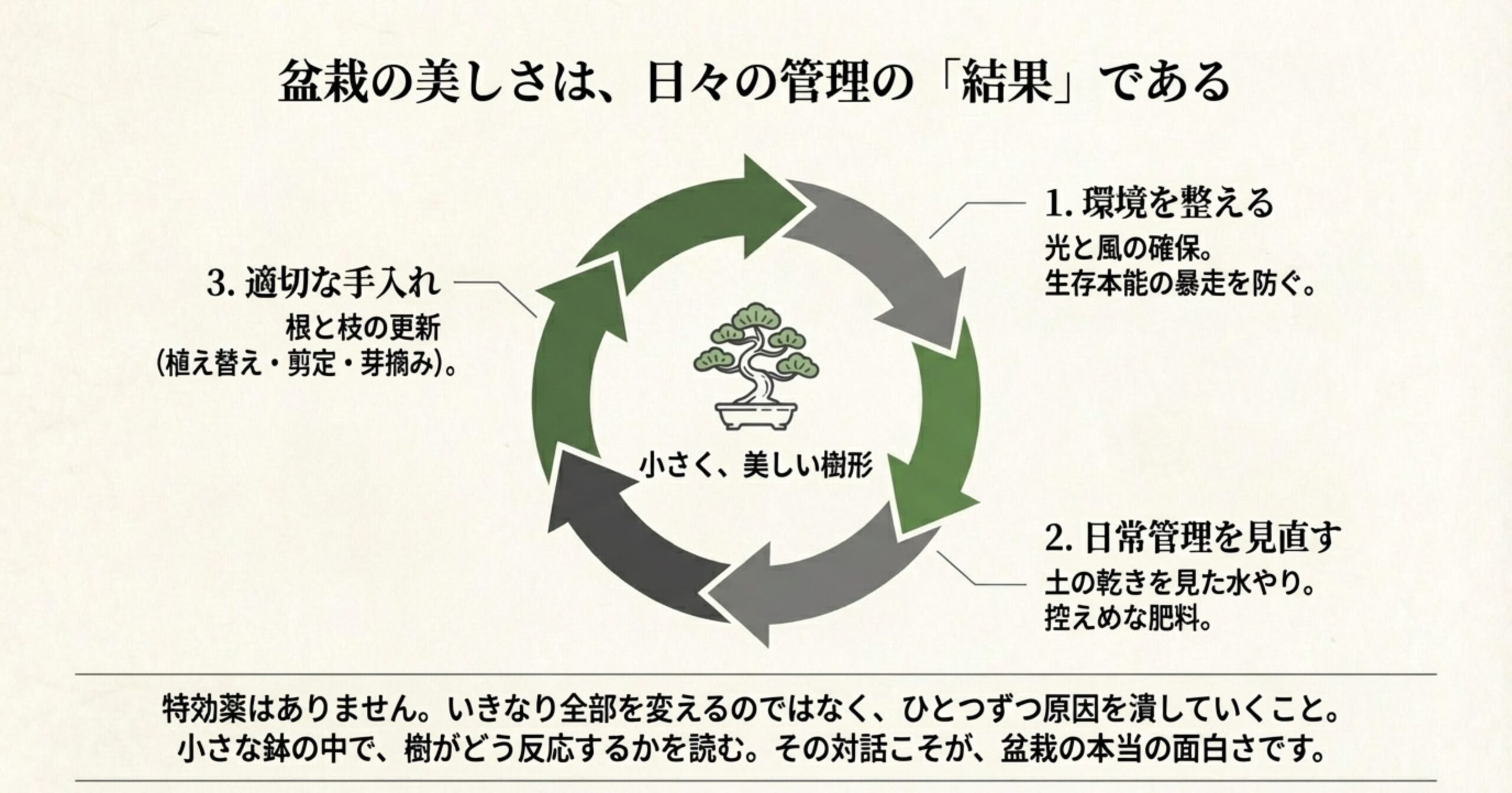 環境を整える、日常管理を見直す、適切な手入れを行うという3つのステップが循環し、小さく美しい樹形が作られる結果であることを示すサイクル図