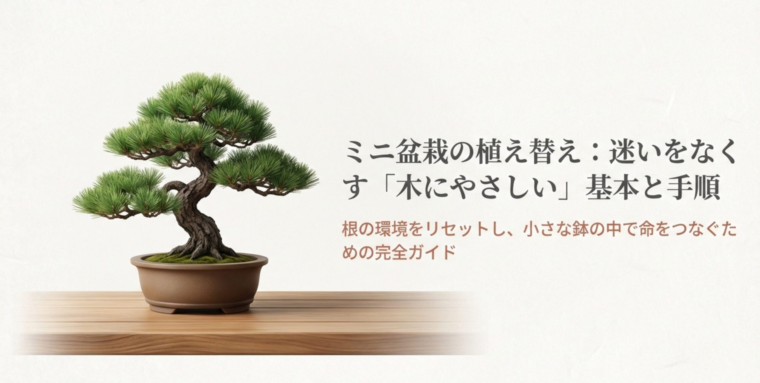 ミニ盆栽の植え替え: 迷いをなくす「木にやさしい」基本と手順