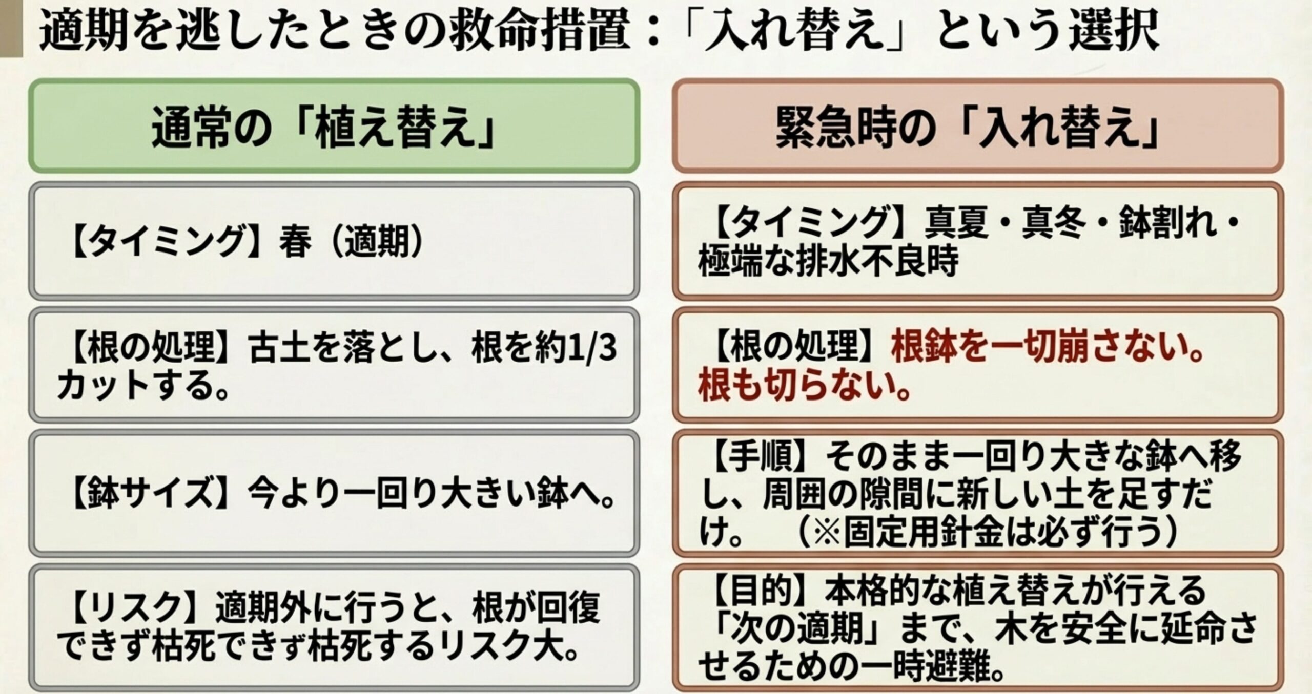 春の適期に行う根を切る「通常の植え替え」と、適期を逃した時期外れに根鉢を崩さず行う「緊急時の入れ替え」の違いを比較した表