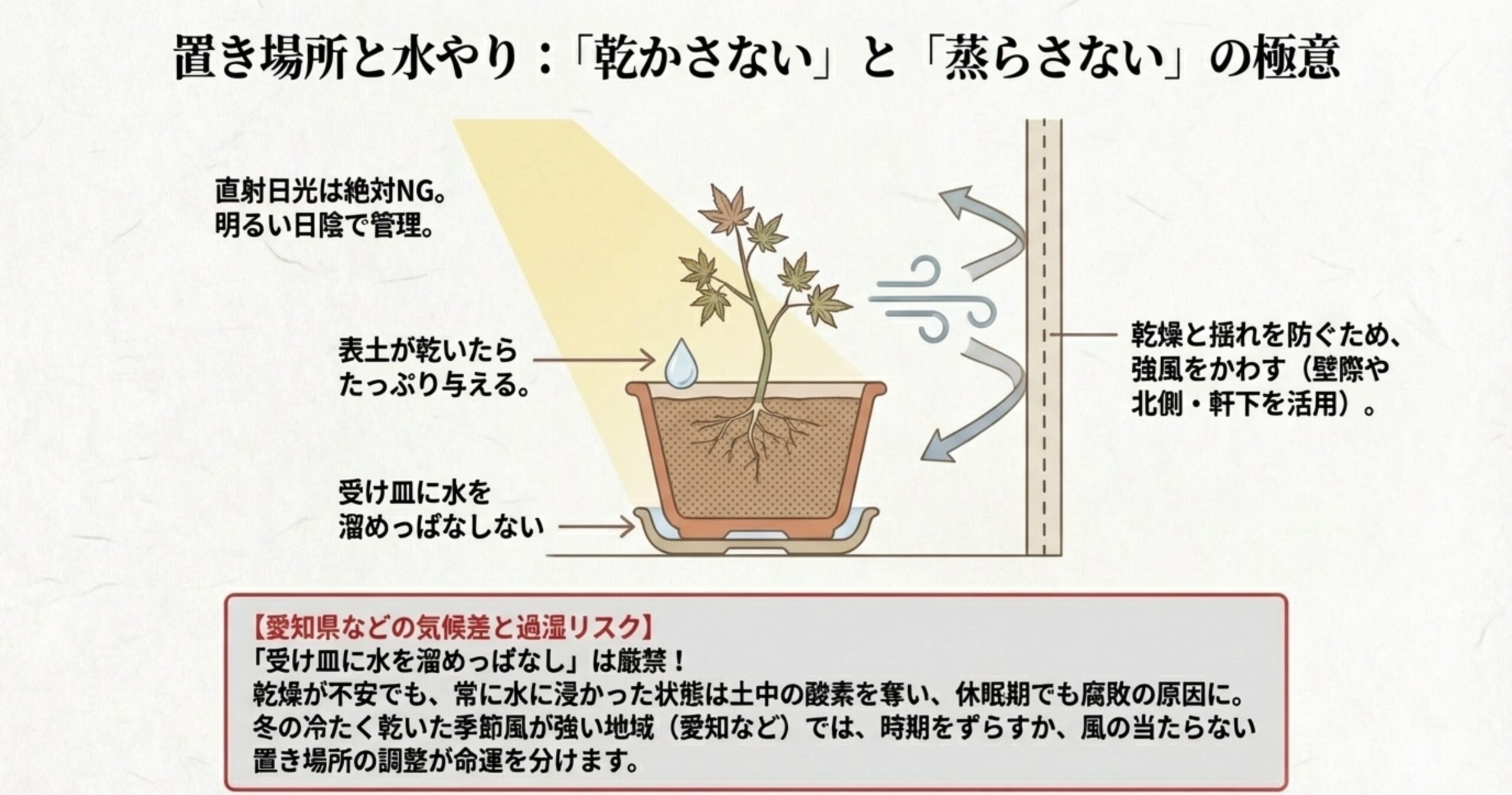直射日光NG、表土が乾いたらたっぷり水を与える、受け皿に水を溜めないといった置き場所と水やりの注意点を解説した図。愛知県などの冬の乾燥風に関する過湿・乾燥リスクへの注意喚起も含まれている。