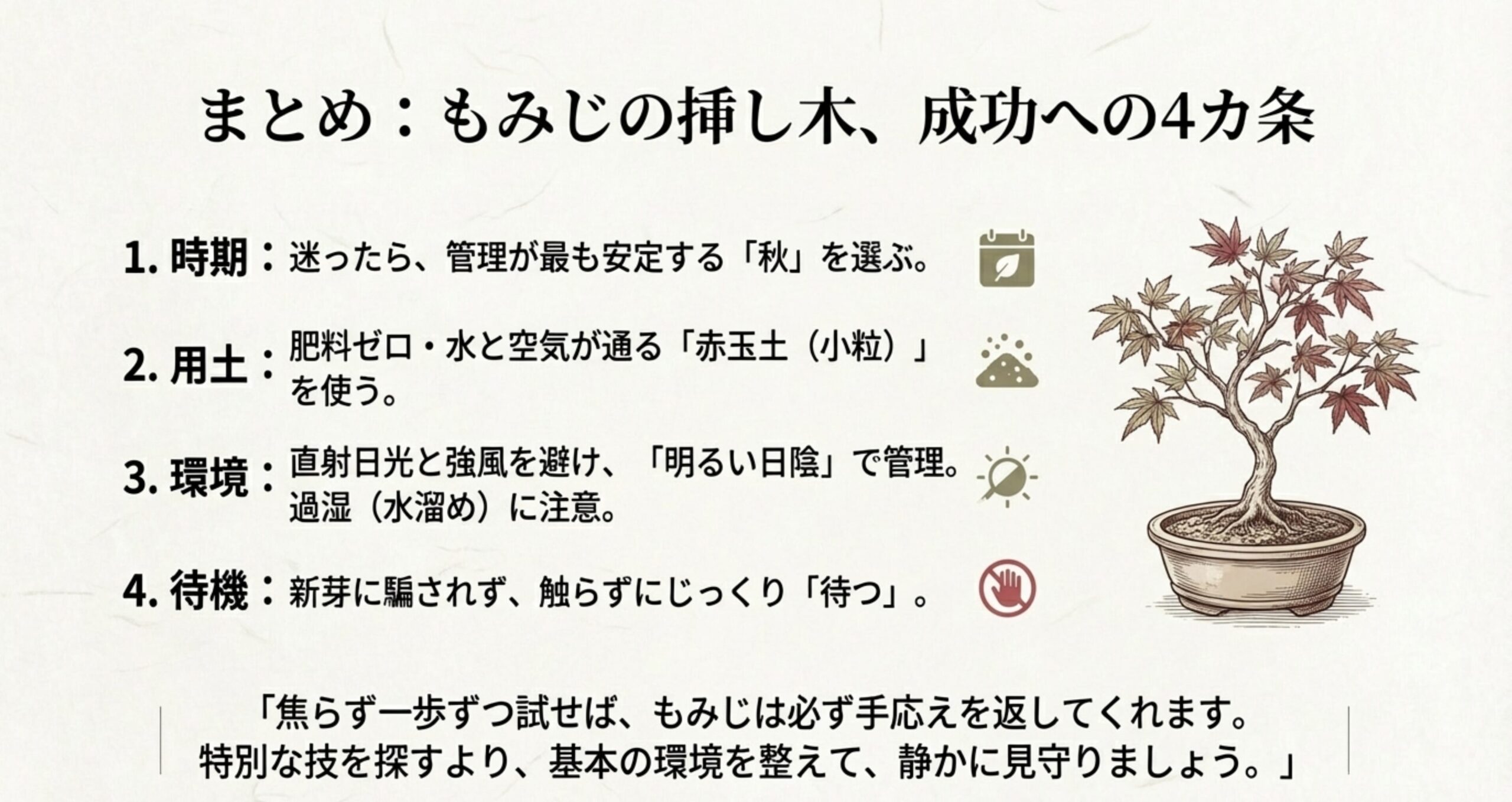 鉢植えのもみじ(盆栽)の美しいイラストと、もみじの挿し木成功への4ヵ条(時期、用土、環境、待機)のまとめテキスト。特別な技を探すより基本の環境を整えて待つことが重要と書かれている。