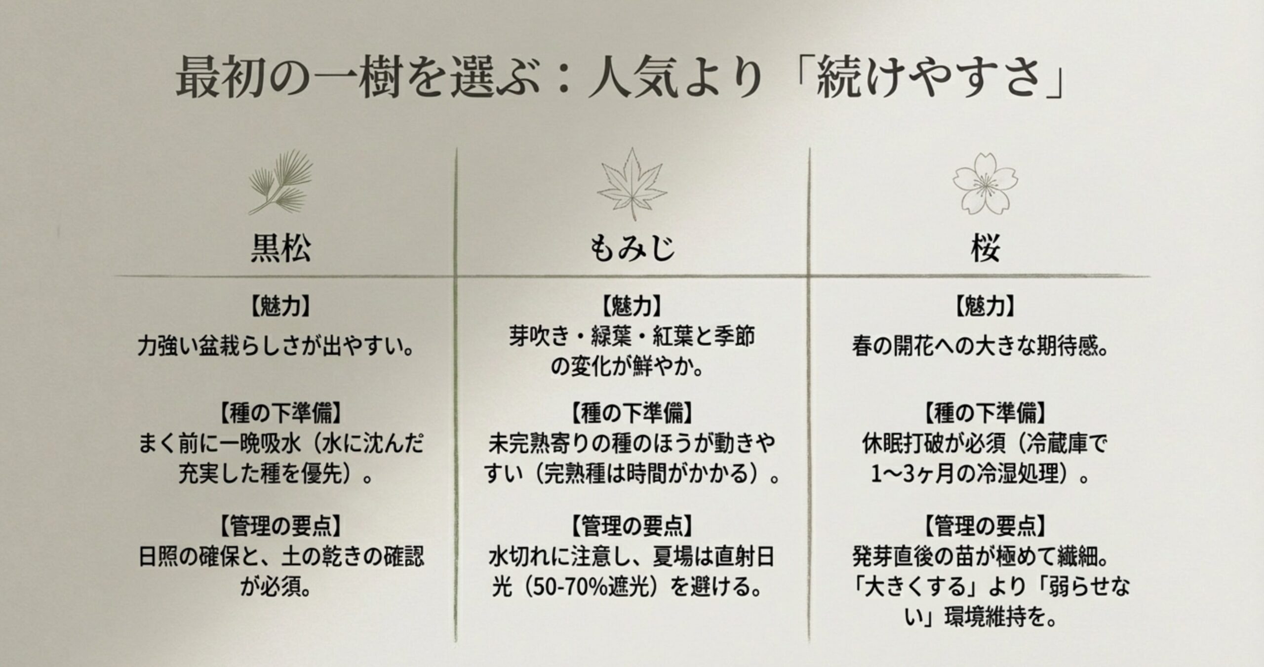 黒松、もみじ、桜の3樹種について、それぞれの魅力、種の下準備、管理の要点を比較した一覧表のスライド画像。