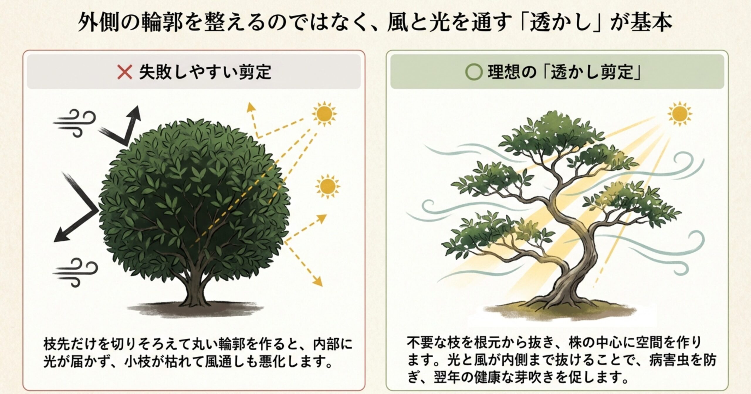 枝先を丸く切りそろえて内部が蒸れる失敗例と、不要な枝を根元から抜いて光と風を通す「透かし剪定」の理想形を比較したイラスト。