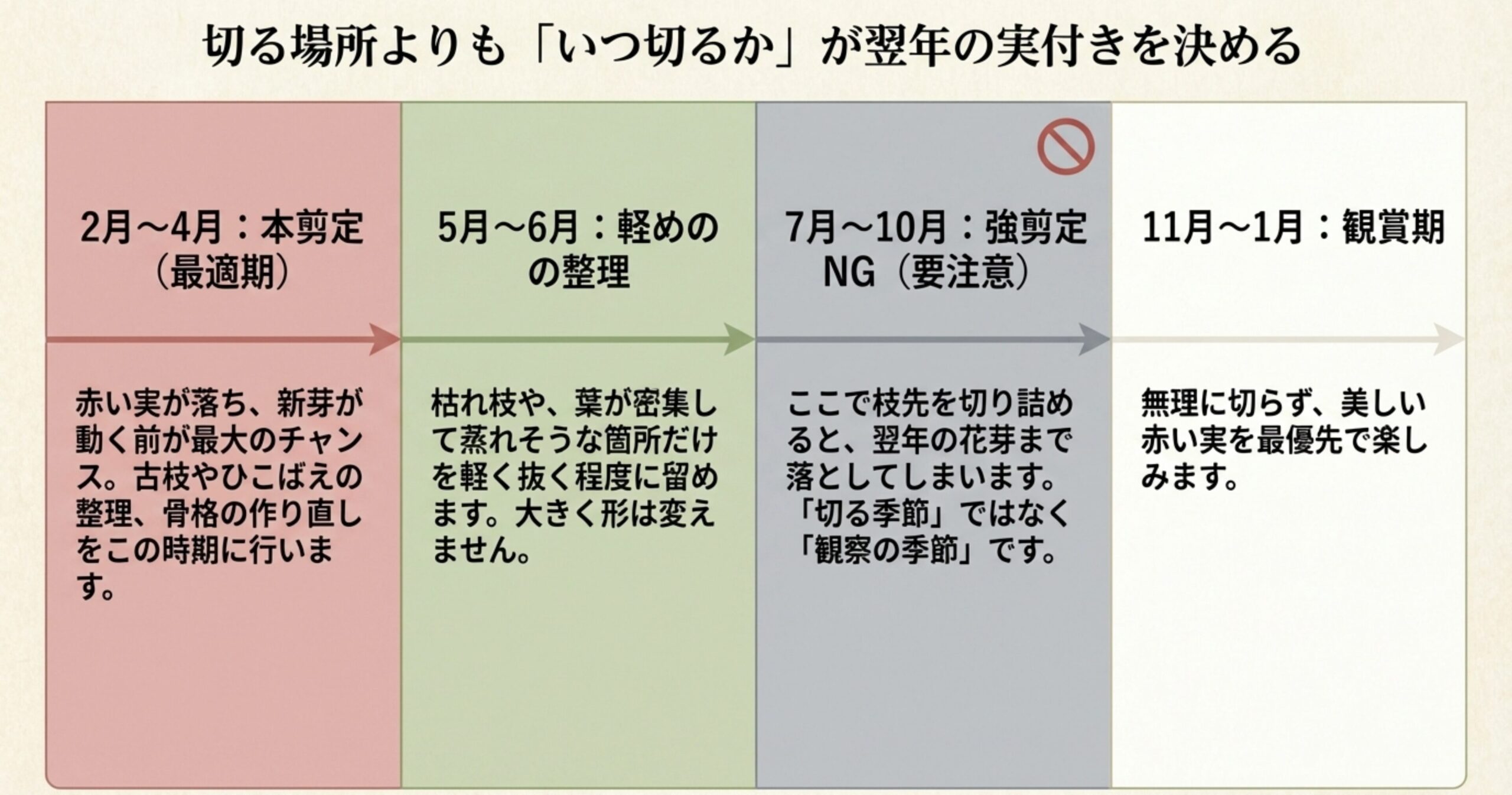 2〜4月の本剪定、5〜6月の軽い整理、7〜10月の強剪定NG、11〜1月の観賞期に分けた、南天の年間剪定スケジュールと各時期の注意点をまとめた表。