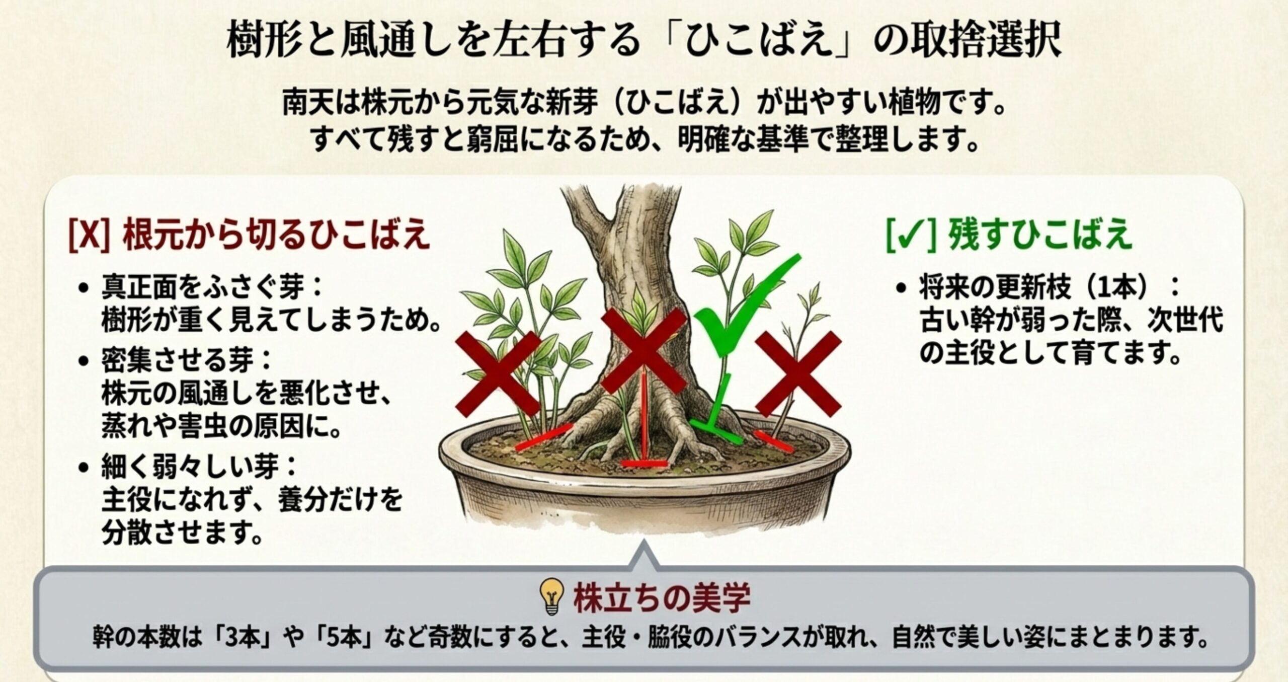 真正面をふさぐ芽や密集した芽を赤色のバツ印、将来の更新枝を緑色のチェック印で示し、奇数本の株立ちを推奨するひこばえ整理の解説図。