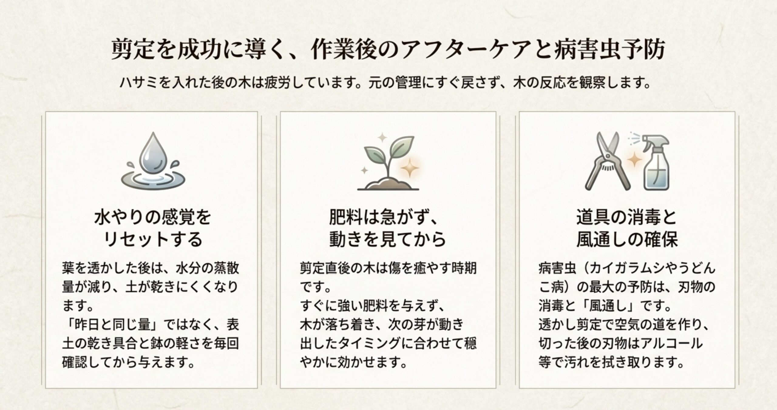 ハサミとスプレーのイラストを添えて、水やり感覚のリセット、肥料を与えるタイミング、道具の消毒と風通しの確保の重要性を説明した解説図。