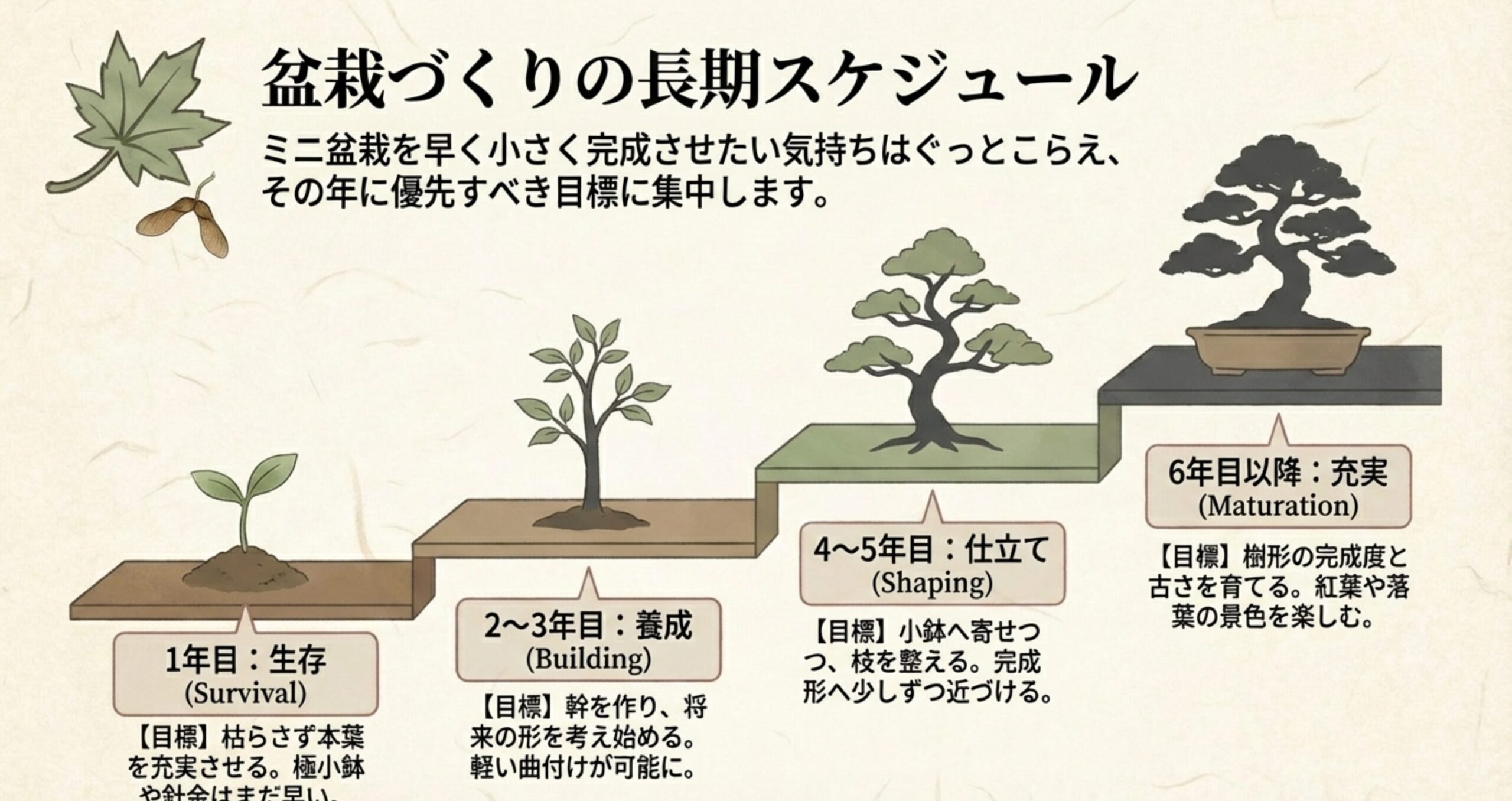 1年目（生存）、2-3年目（養成）、4-5年目（仕立て）、6年目以降（充実）の各段階の目標をまとめた表。