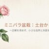 ミニバラ盆栽の育て方の表紙。正解を求めず、小さな自然と対話する育て方というキャッチコピー。
