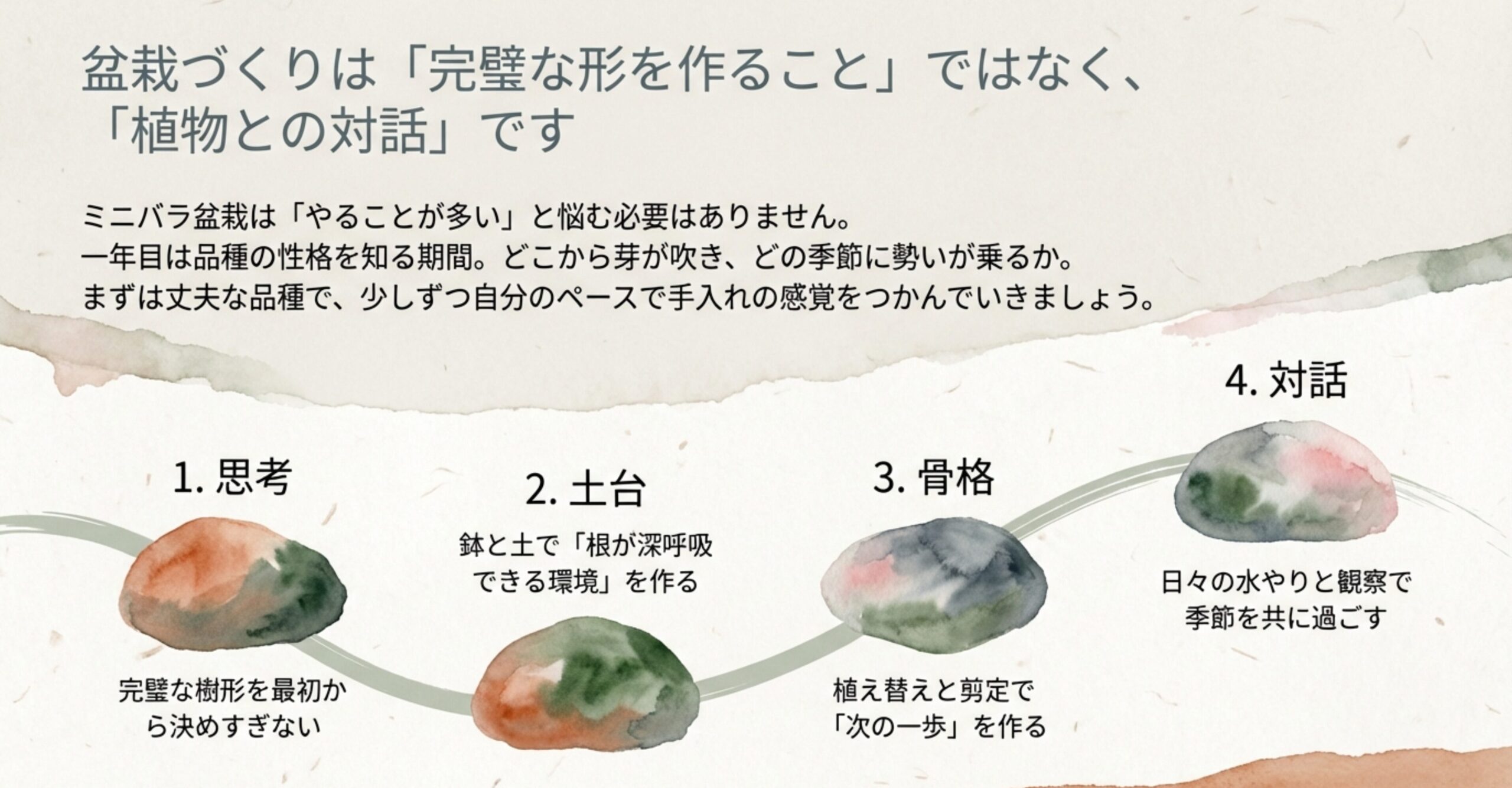 ミニバラ盆栽づくりの4つのステップ(思考、土台、骨格、対話)と、1年目は品種の性格を知る期間であるという解説図。