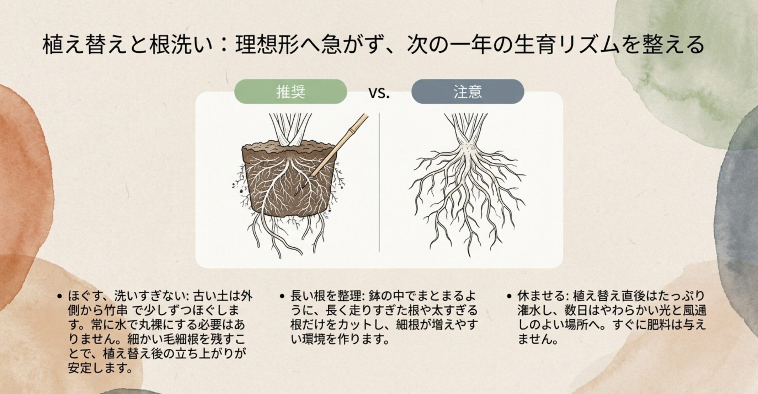 竹串で古い土をほぐすイラストと、長い根を整理して細根を残した理想的な根の状態の比較図。