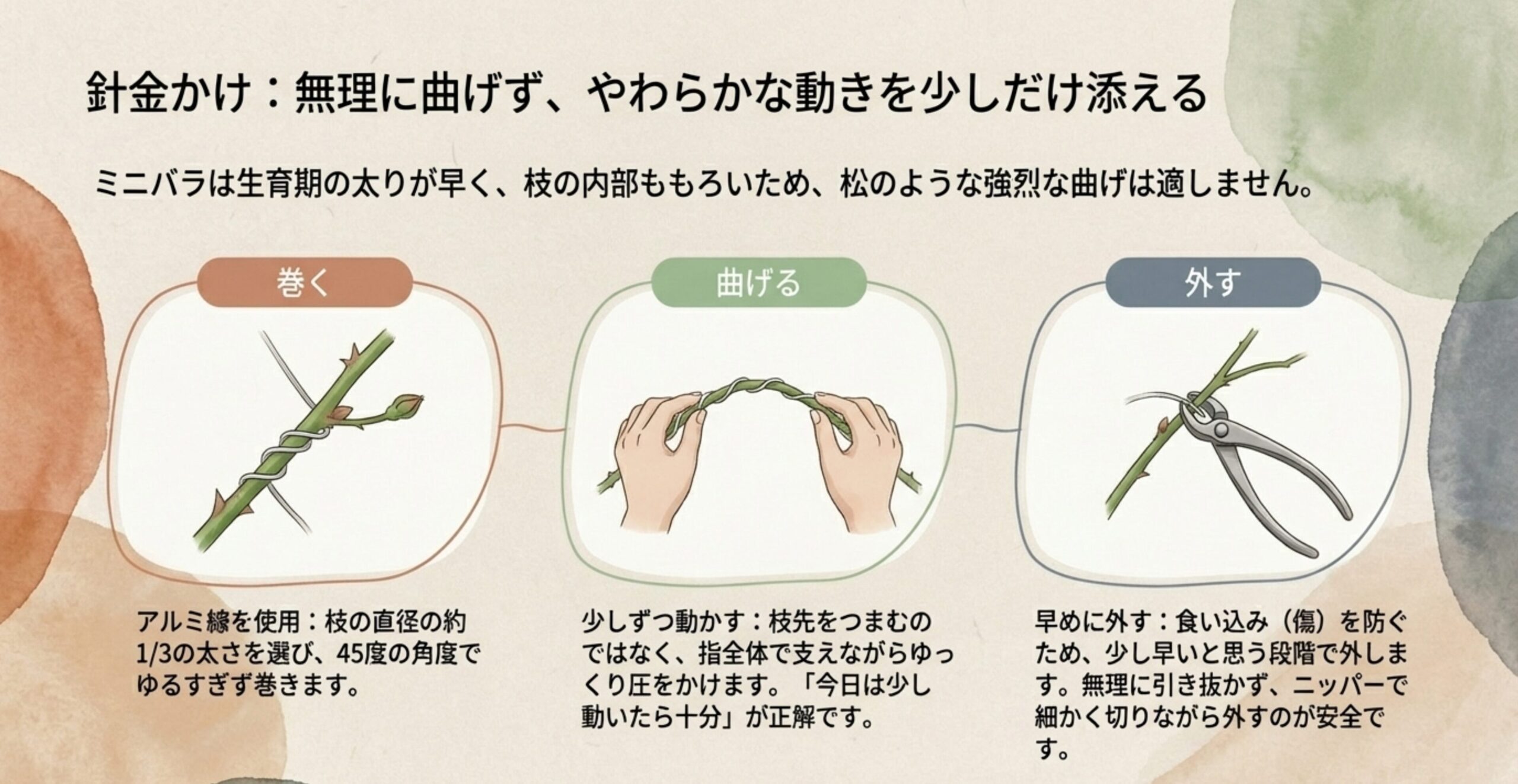 ミニバラへの針金かけのコツ。アルミ線の太さ(枝の1/3)や角度(45度)、ニッパーで細かく切って外す手順の解説。