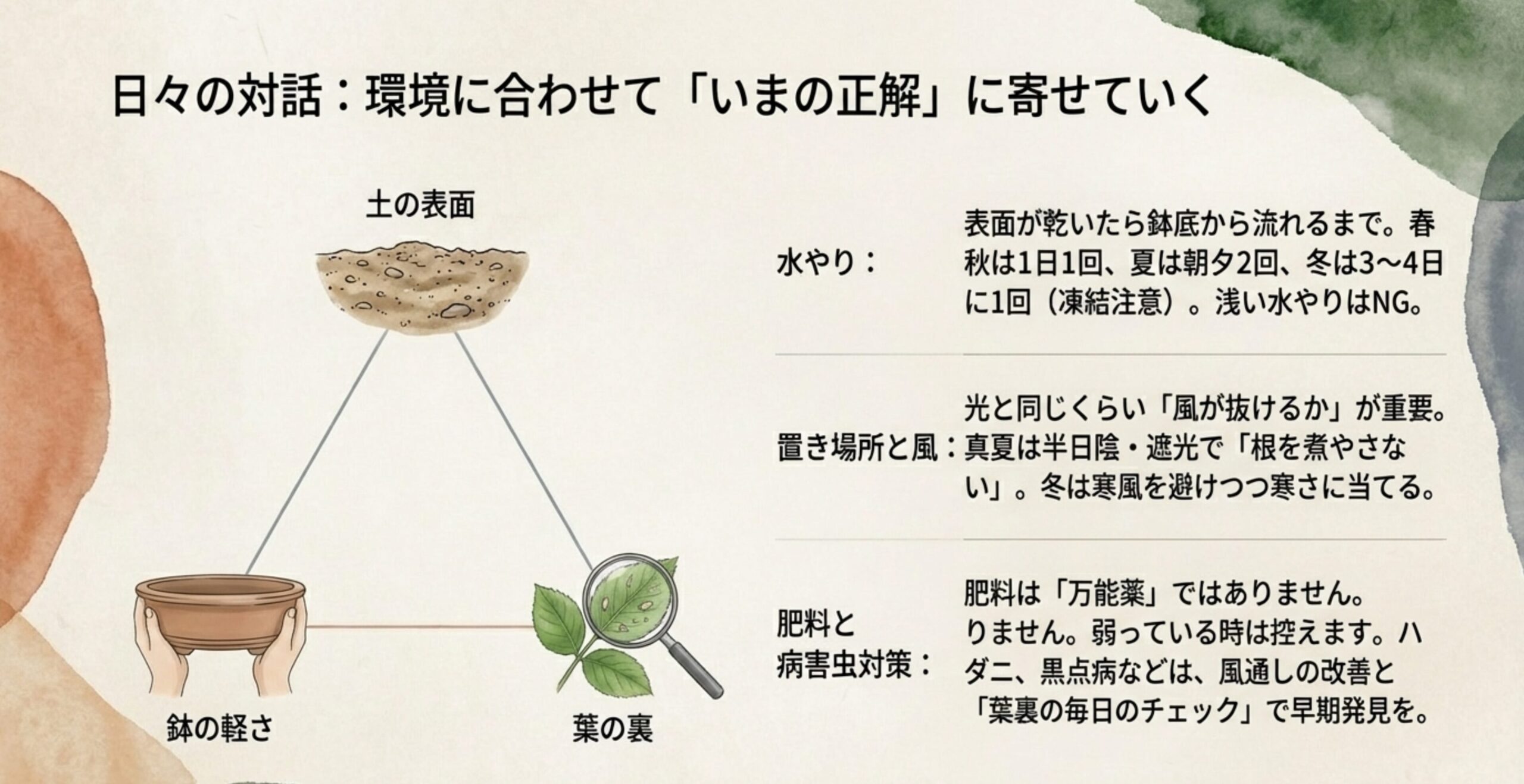 季節ごとの水やり頻度、光と風の管理、病害虫対策(葉裏チェック)をまとめた管理チェックリスト。