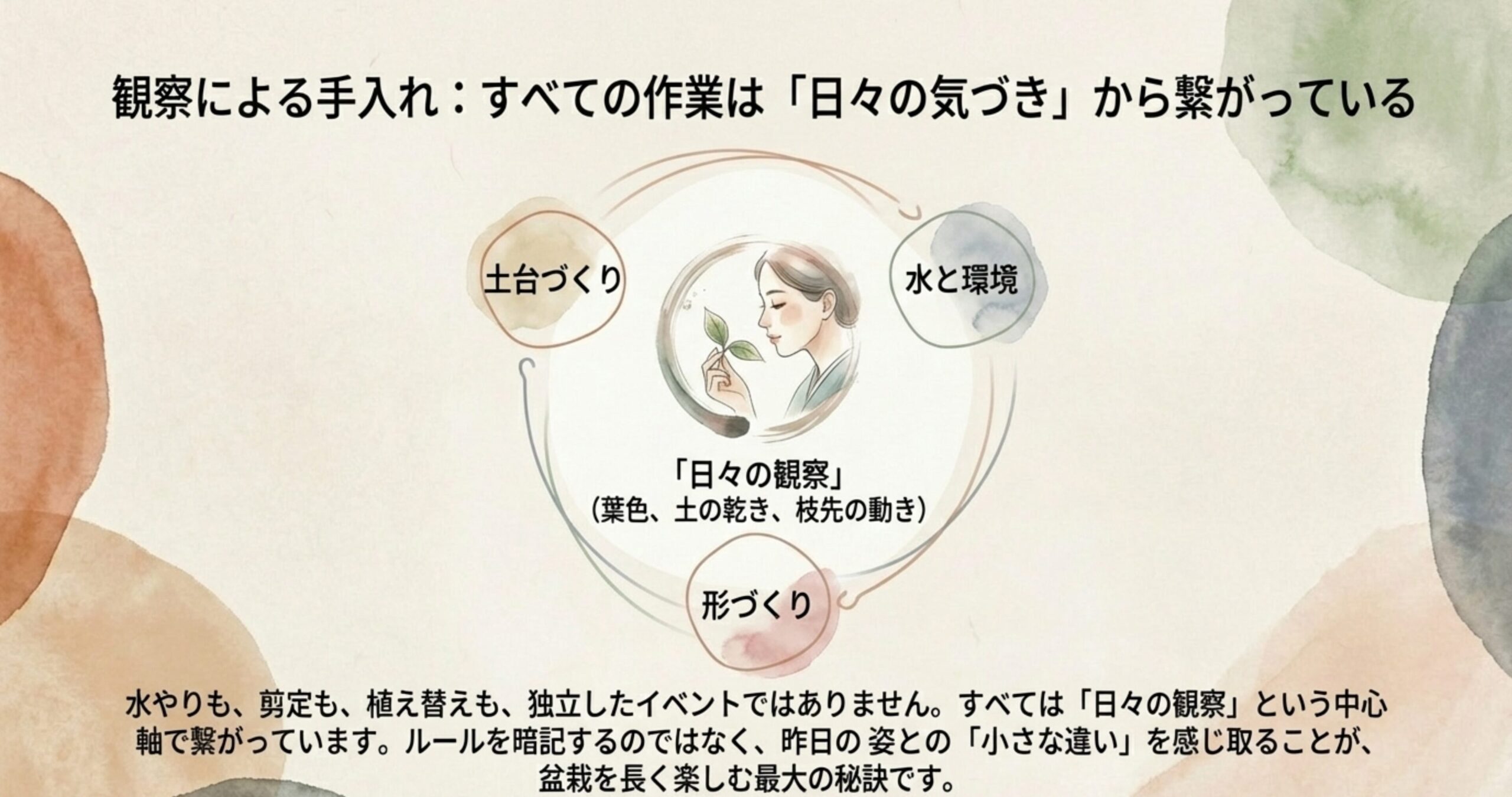土台づくり、形づくり、水と環境が「日々の観察」という中心軸で繋がっていることを示す概念図。