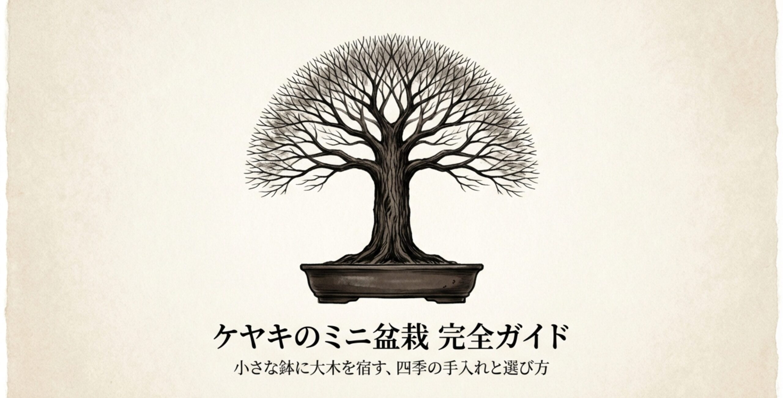 葉を落とした美しいほうき立ちのケヤキ盆栽のイラスト