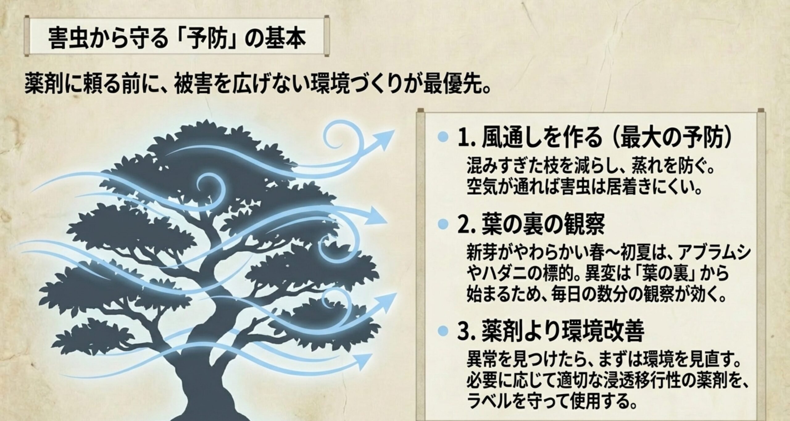 風通しの確保や新芽・葉裏の観察など、害虫被害を未然に防ぐための3つの基本予防策をまとめたスライド
