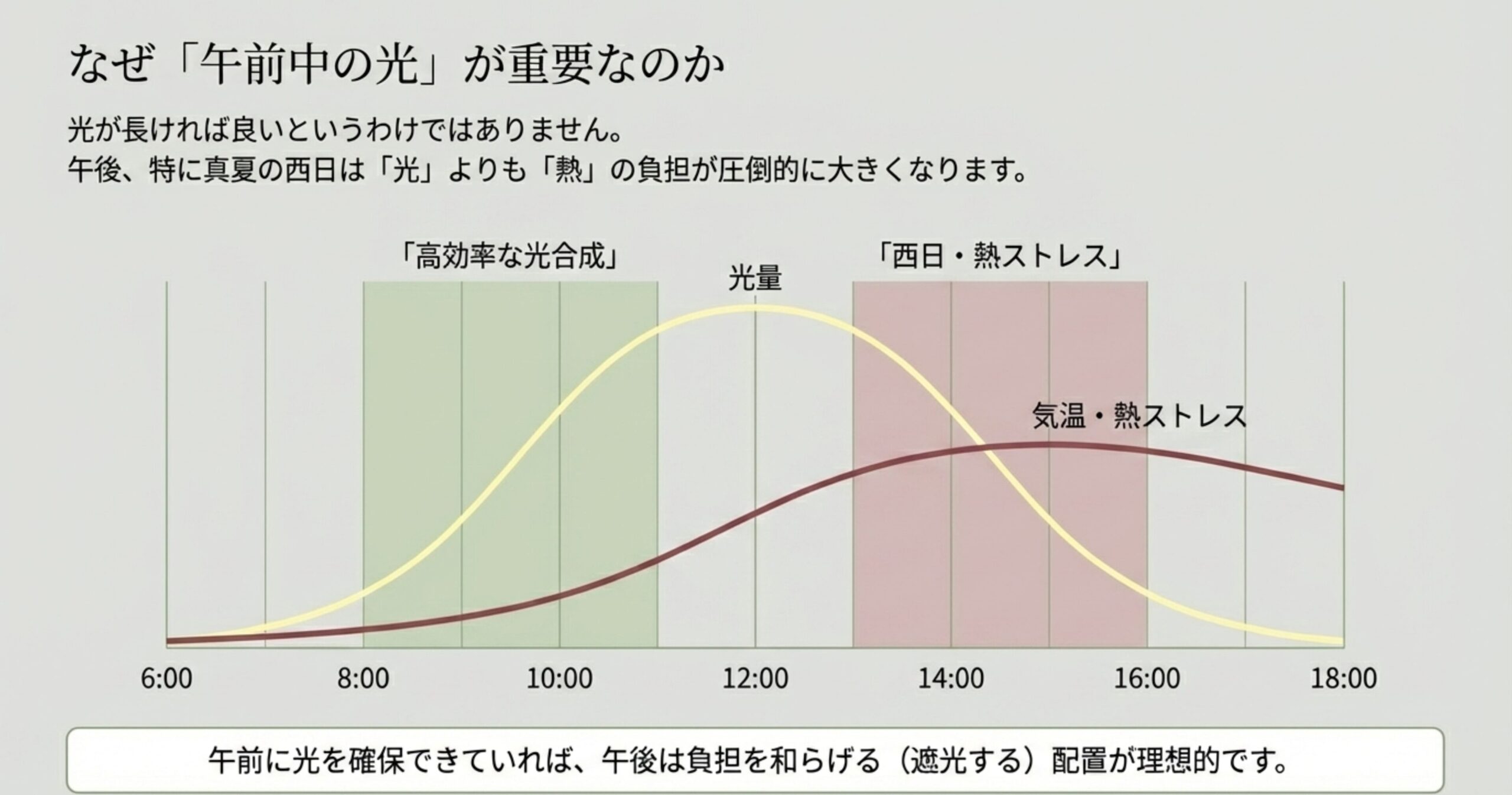 6時から18時までの光量と気温・熱ストレスの変化を示すグラフ。午前中は光合成効率が高く、午後は熱ストレスが急増することを示している。