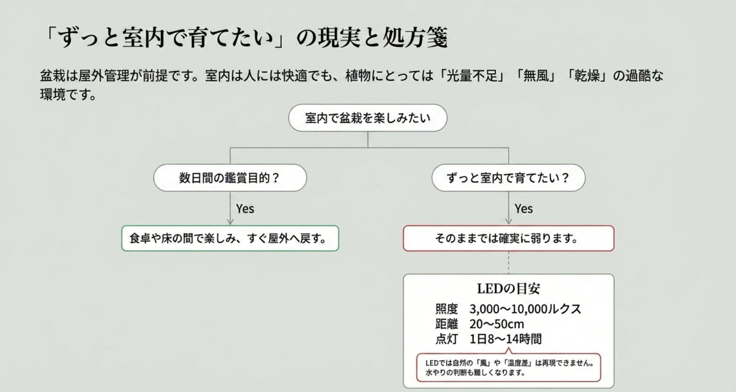 室内管理が数日間の鑑賞目的か継続的な育成目的かによる分岐図と、育成LEDを使用する際の照度(3,000〜10,000ルクス)や時間の目安。