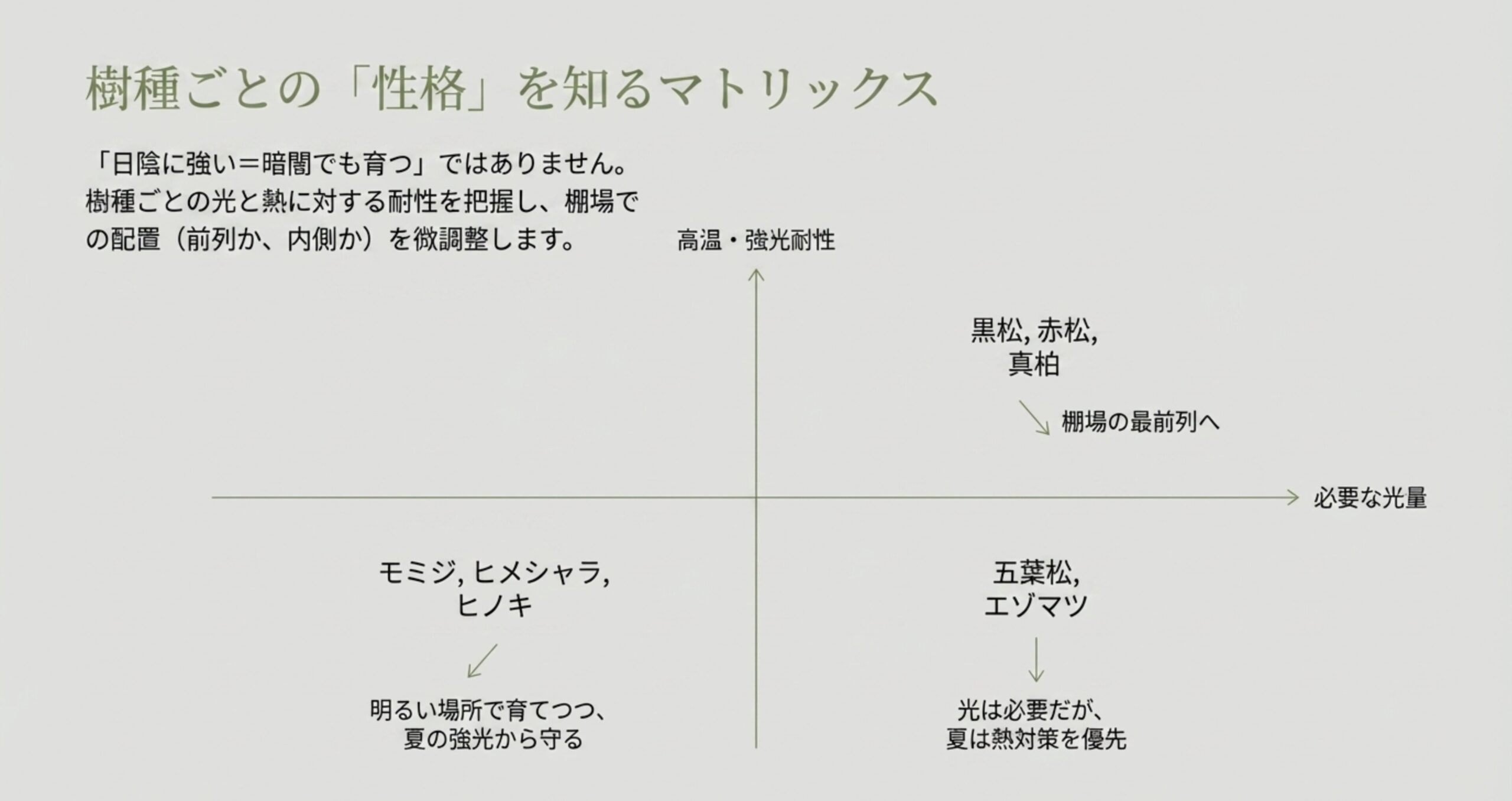 横軸に「必要な光量」、縦軸に「高温・強光耐性」をとった分布図。黒松や真柏は最前列、モミジやヒメシャラは夏の強光から守るなどの配置目安。