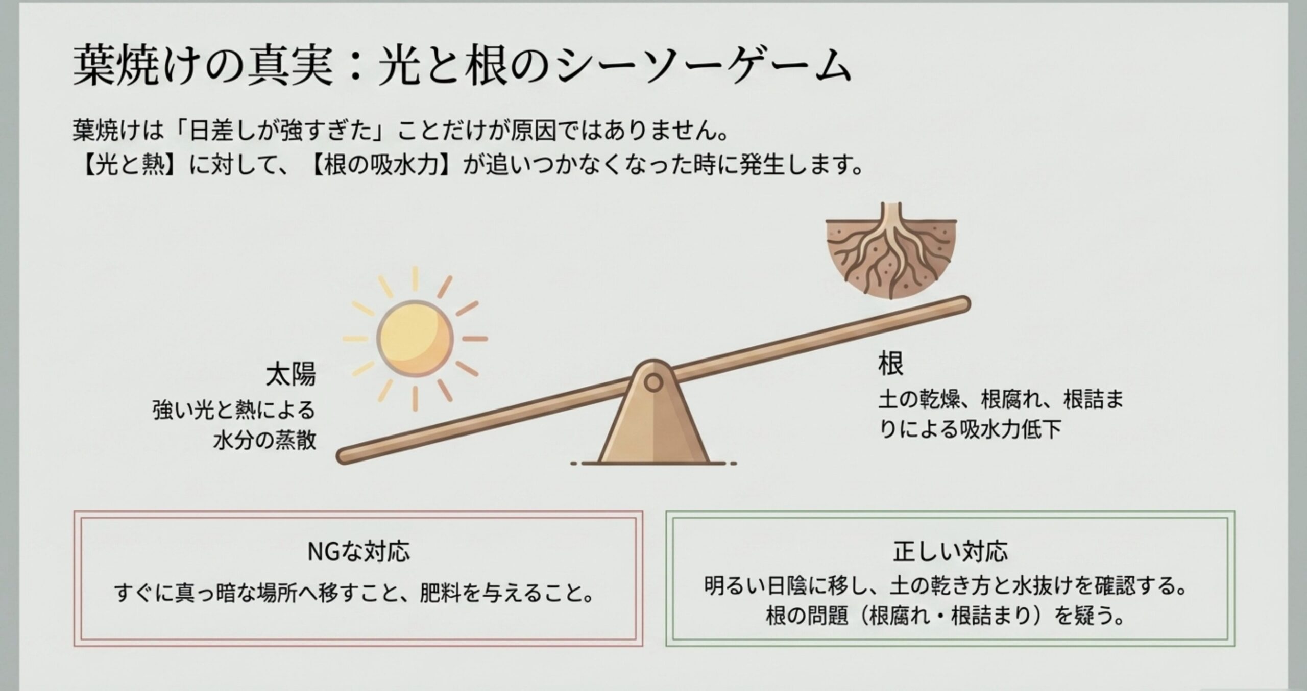 太陽による水分の蒸散と、根の吸水力のバランスが崩れたときに葉焼けが発生することを示す図解。