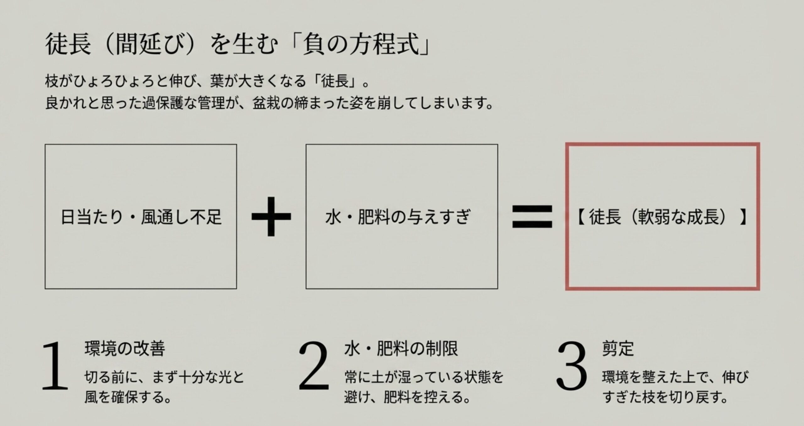 「日当たり・風通し不足」と「水・肥料の与えすぎ」が徒長を生む方程式と、環境改善、制限、剪定の順で行う対策手順。