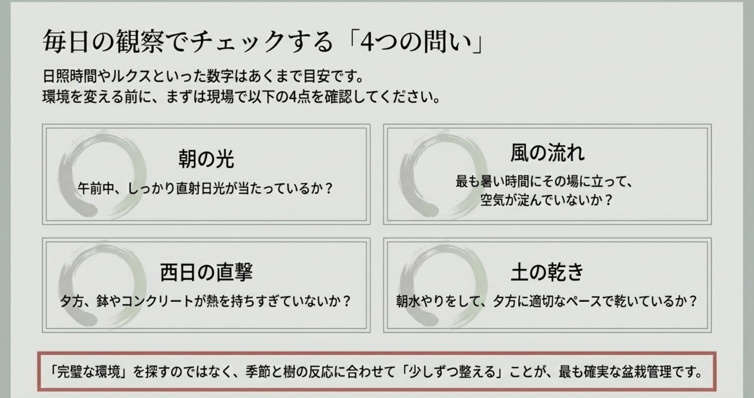 盆栽の状態を確認するための4つの問い「朝の光」「風の流れ」「西日の直撃」「土の乾き」をまとめたリスト。