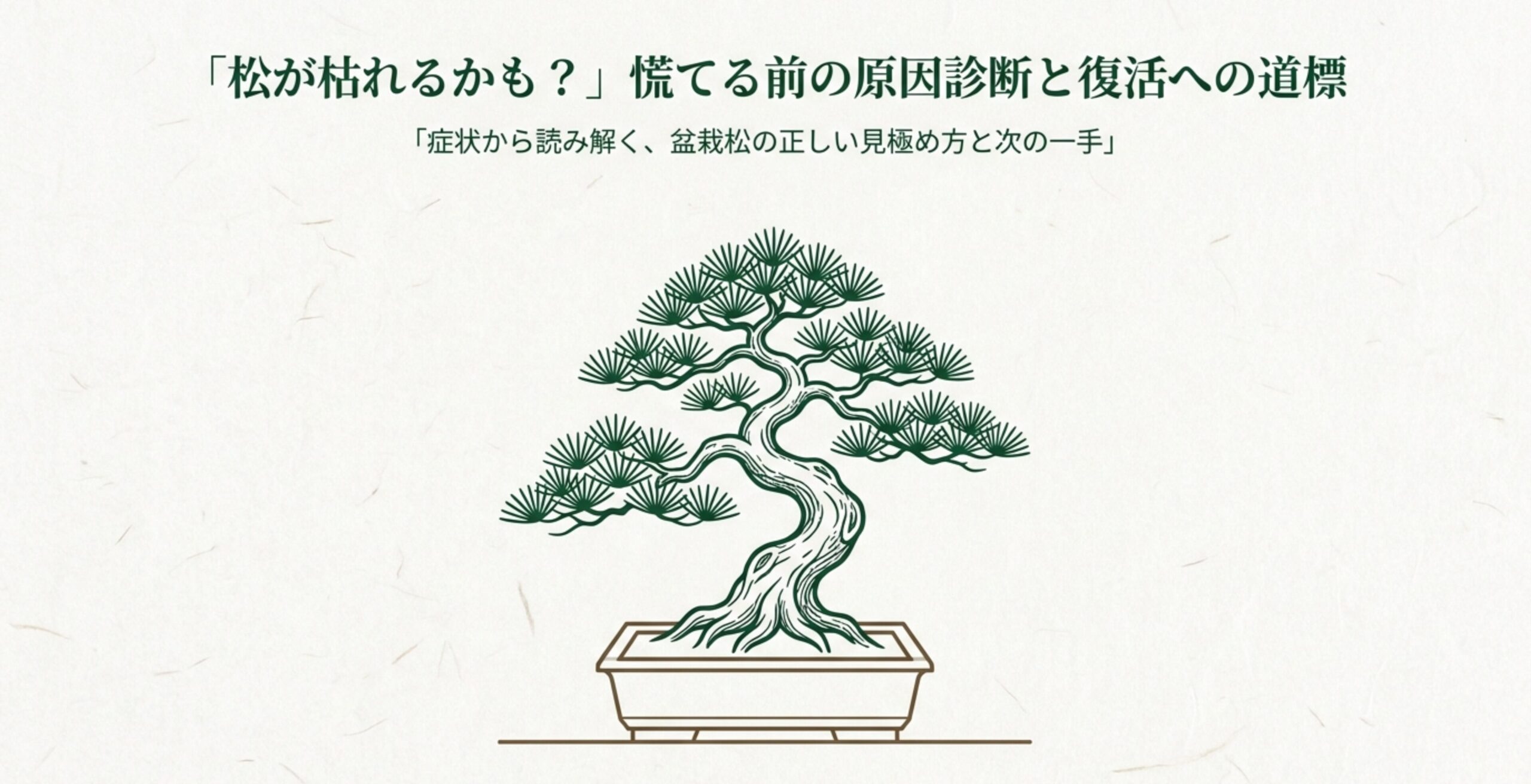 鉢植えの松盆栽のイラスト