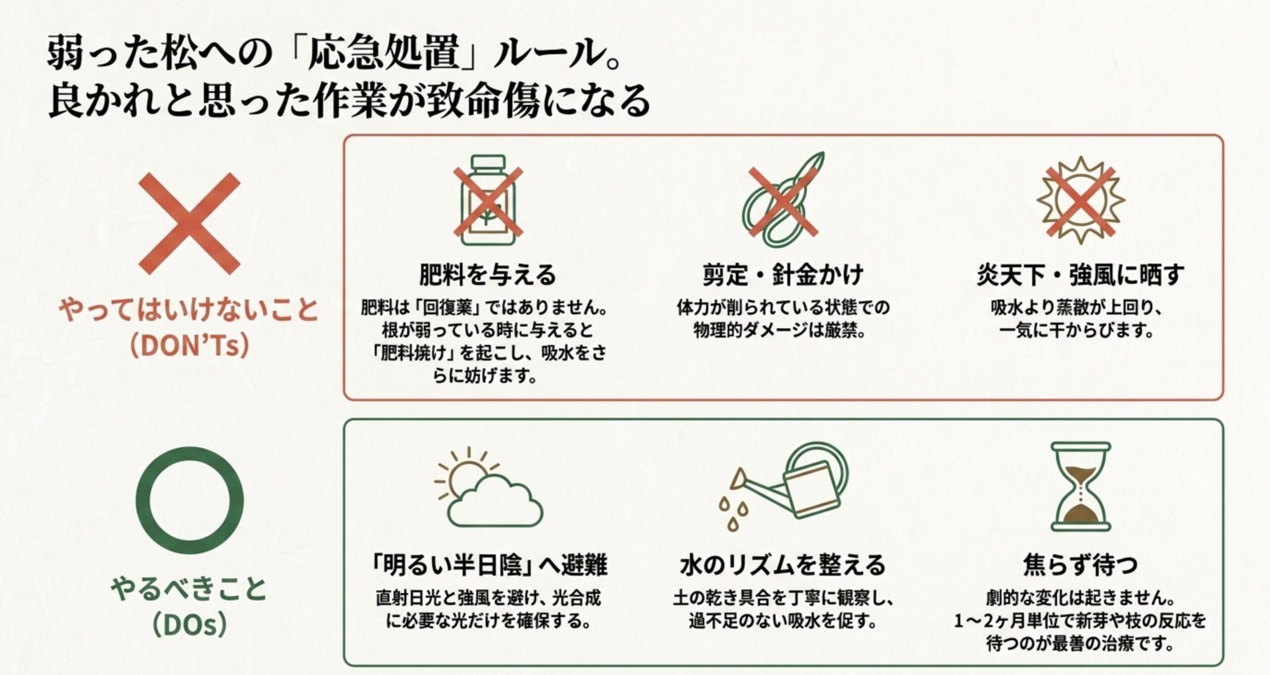 弱った松にやってはいけないNG行動(施肥、剪定、炎天下)と、やるべき正しい処置(半日陰への移動、水のリズム調整)のリスト