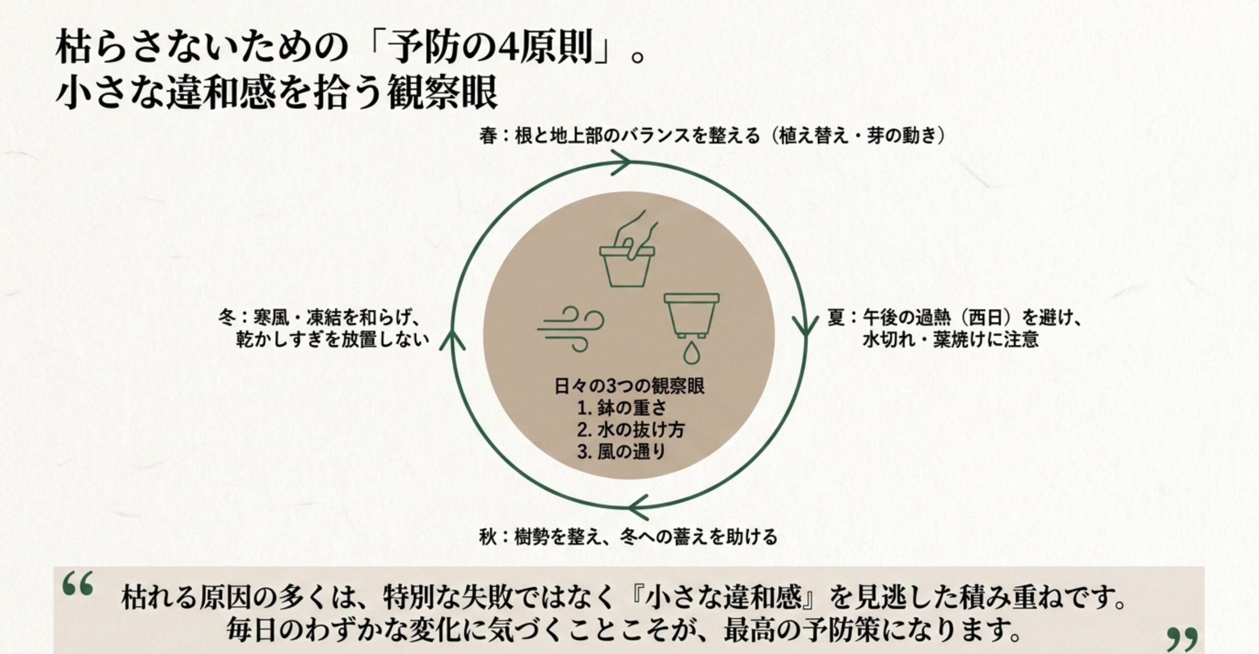 春夏秋冬の年間管理サイクルと、日々の観察ポイント(鉢の重さ、水の抜け方、風の通り)を示す図解