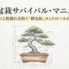 盆栽の寸法図と夏の管理マニュアルの表紙画像。水切れと根腐れを防ぐ微気候コントロールの極意と記載されている。 スライド2：夏の管理は「水切れ」と「根腐れ」の綱