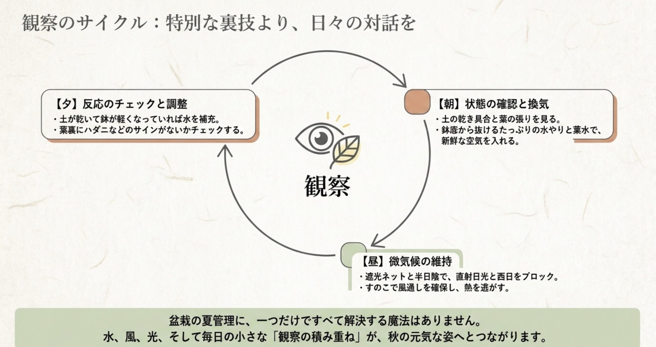 朝、昼、夕方の盆栽観察のサイクル図。日々の対話を通じて状態の確認、微気候の維持、反応のチェックを行う流れを説明している。