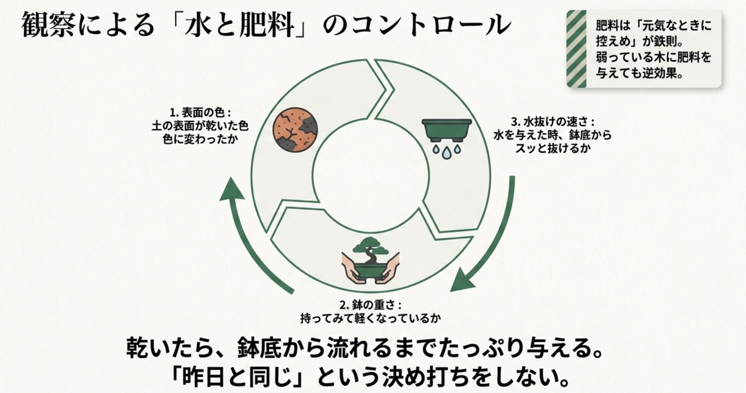 表面の色、鉢の重さ、水抜きの速さの3ステップで水やりを判断するサイクル図
