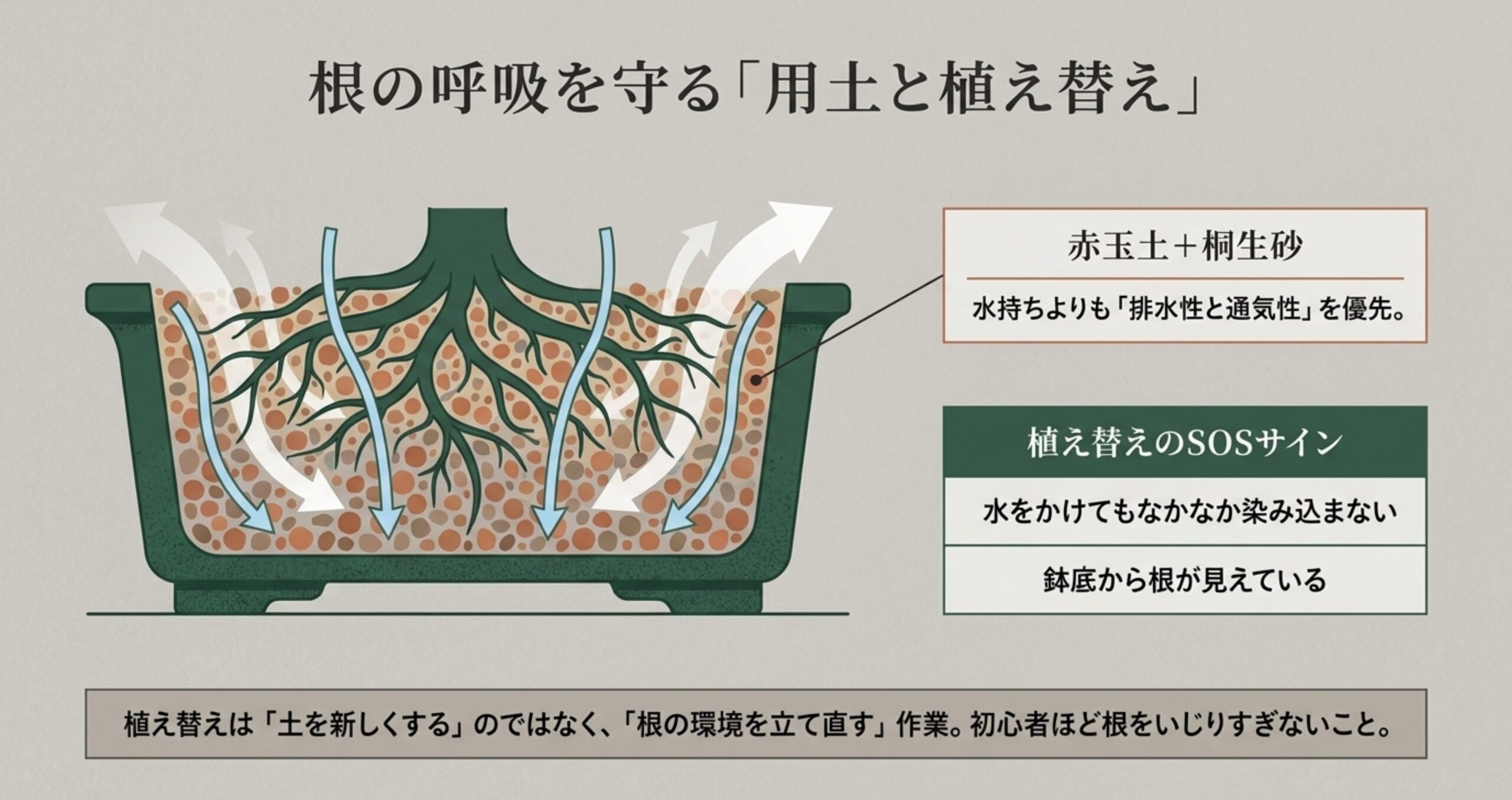 赤玉土と桐生砂を配合した鉢の中の通気性イメージ図と、水が染み込まない等の植え替えSOSサイン