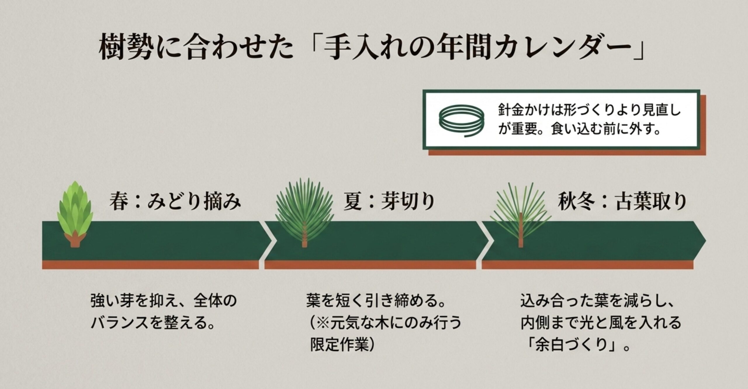 春のみどり摘み、夏の芽切り、秋冬の古葉取りの時期と目的をまとめた年間カレンダー