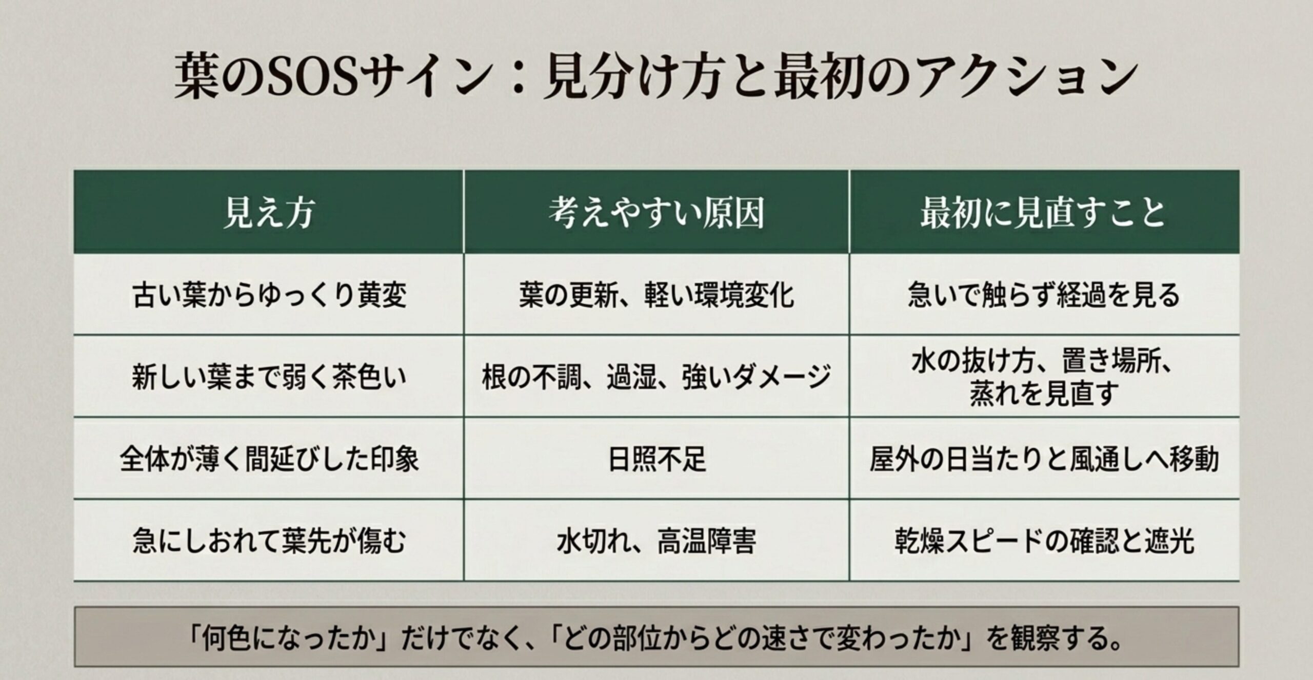 葉が黄変したり茶色くなる見え方から、考えやすい原因と最初に見直すアクションをまとめた表