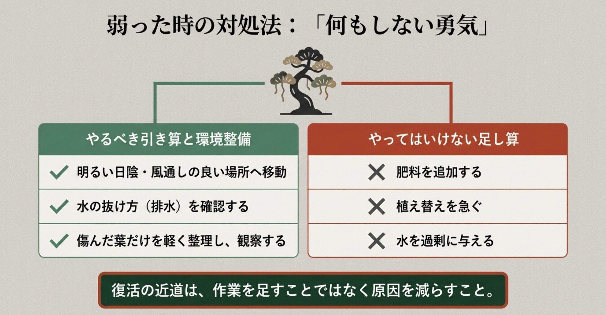 弱った時にやるべき排水の確認や環境整備と、やってはいけない肥料の追加や植え替えなどのリスト