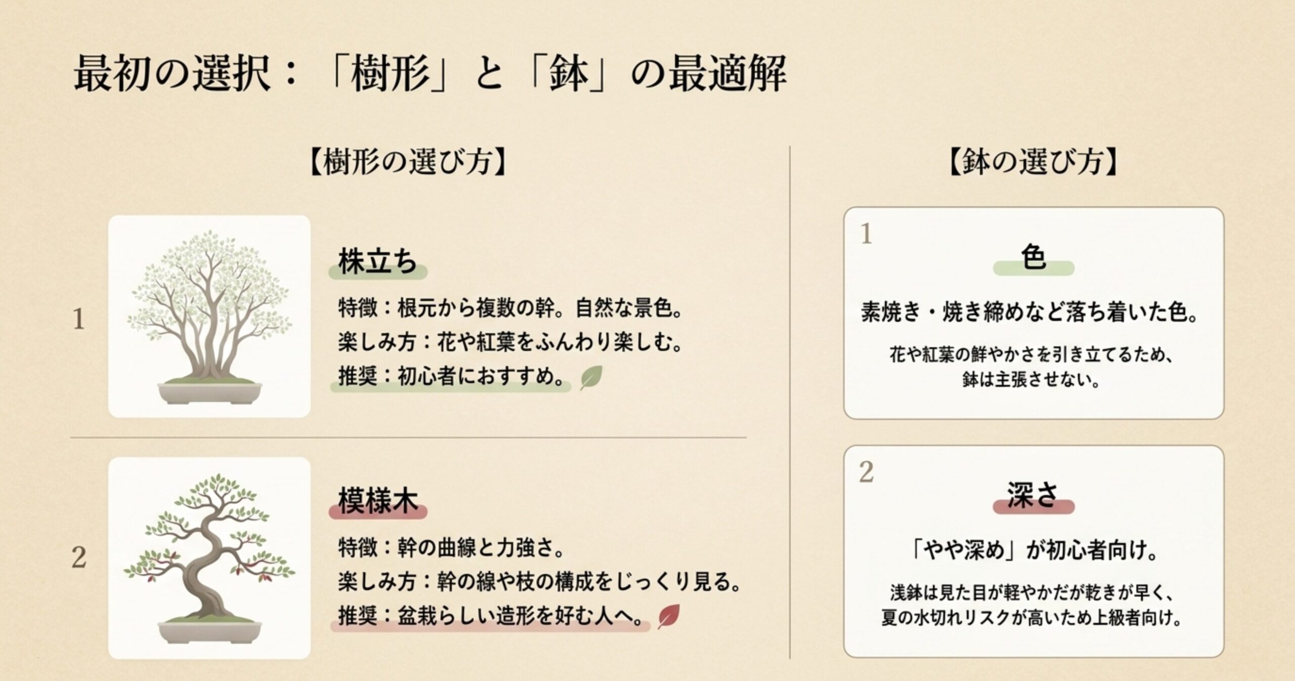 初心者におすすめの株立ちと盆栽らしい模様木の特徴、および初心者向けのやや深めの鉢の選び方