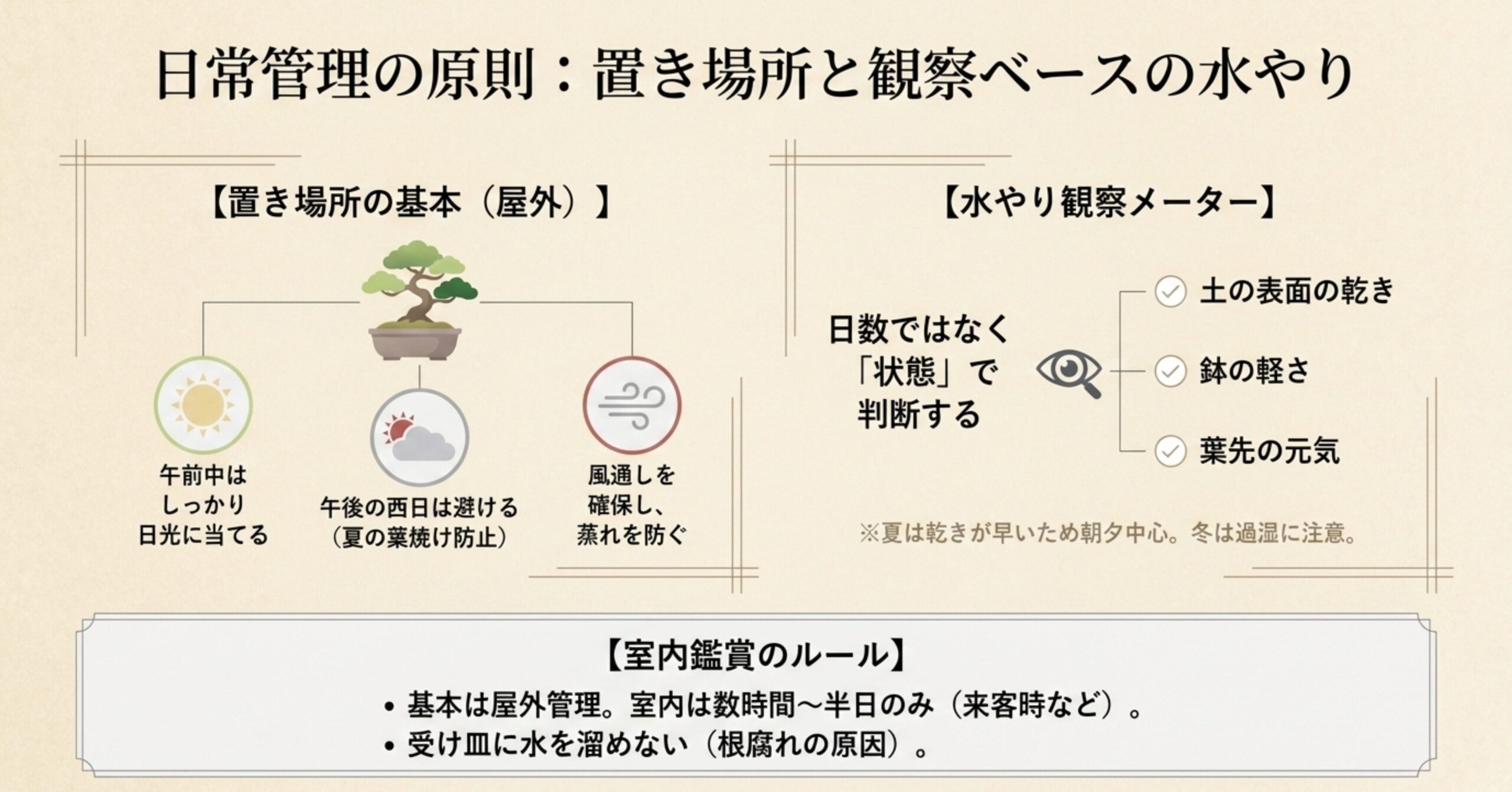 午前中の日光確保と西日避けといった置き場所の基本と、土の表面や鉢の軽さで判断する観察ベースの水やり方法