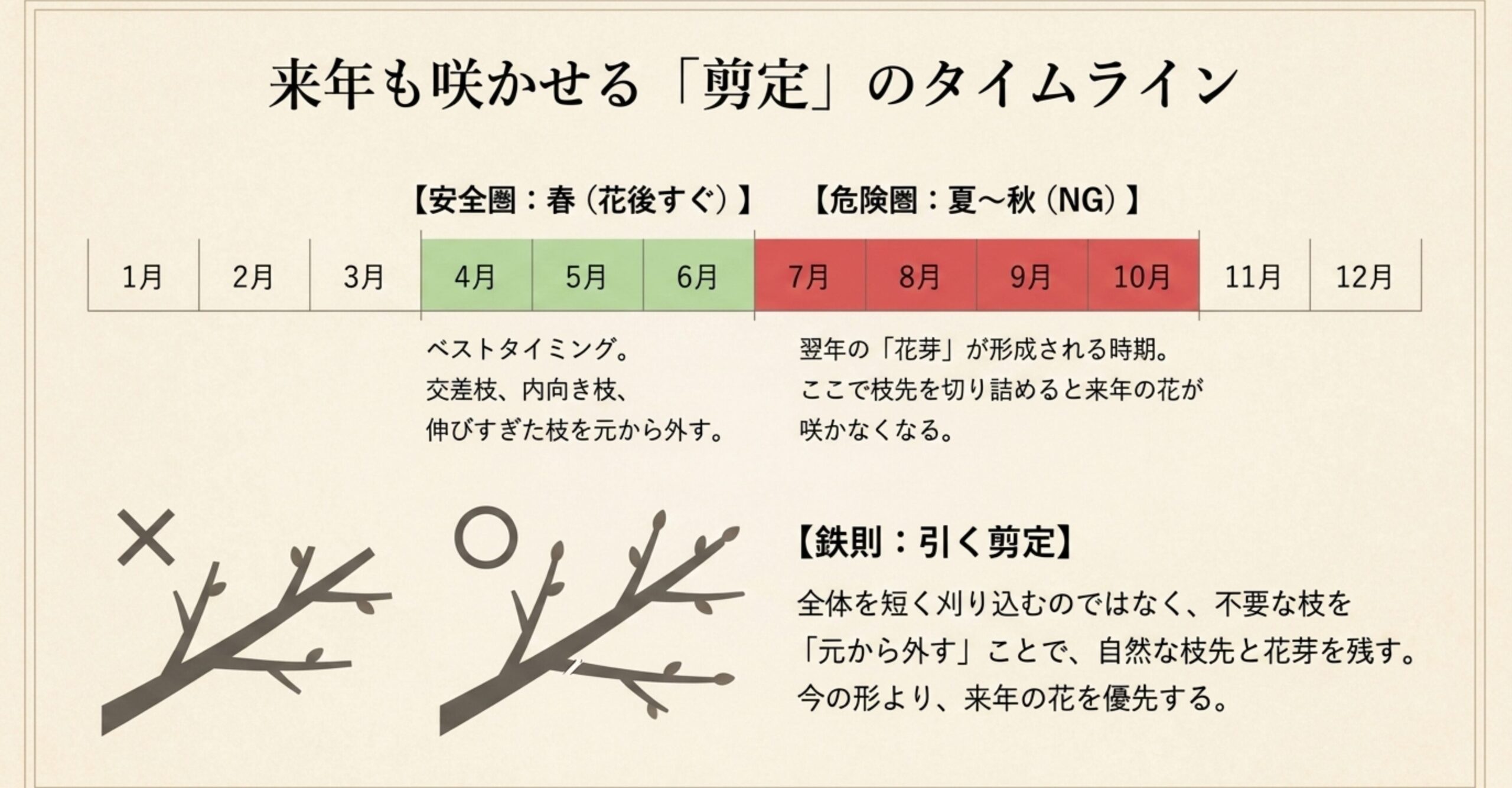 春の花後すぐが安全圏となり、夏から秋の剪定は翌年の花芽を落とす危険圏となるタイムライン表