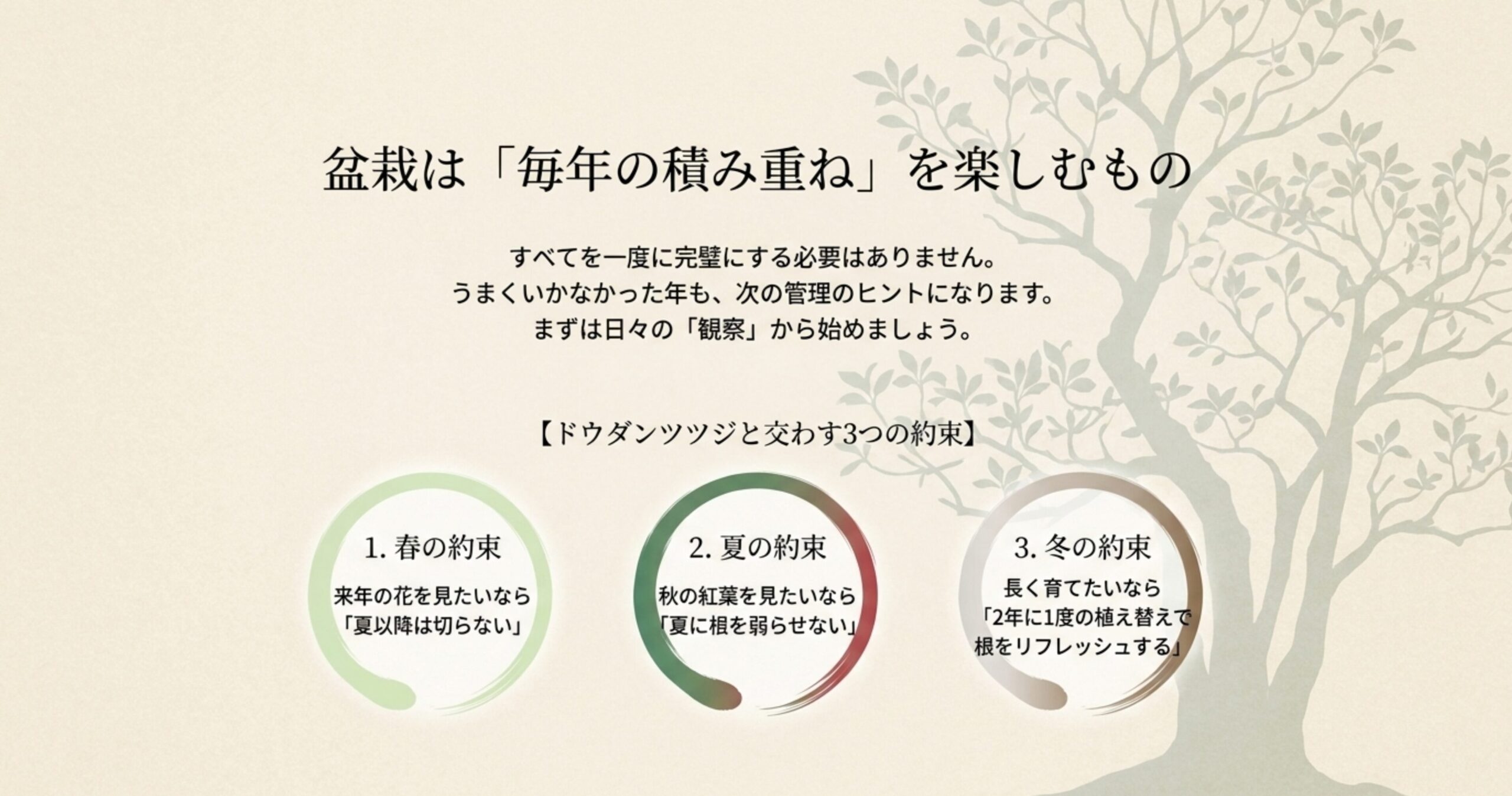 来年の花、秋の紅葉、長く育てるための根のリフレッシュに関する、ドウダンツツジと交わす3つの約束
